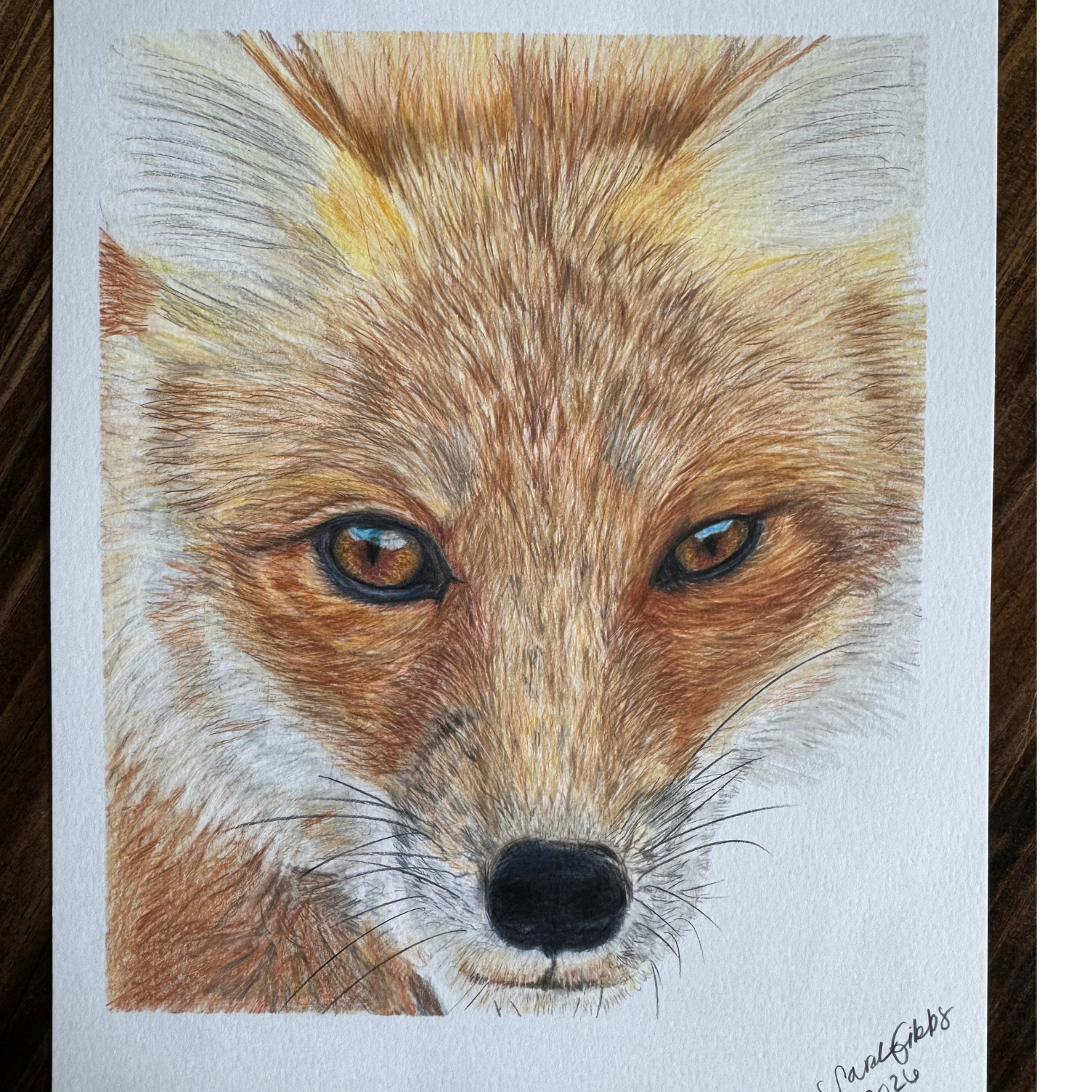 Fox Art.png
