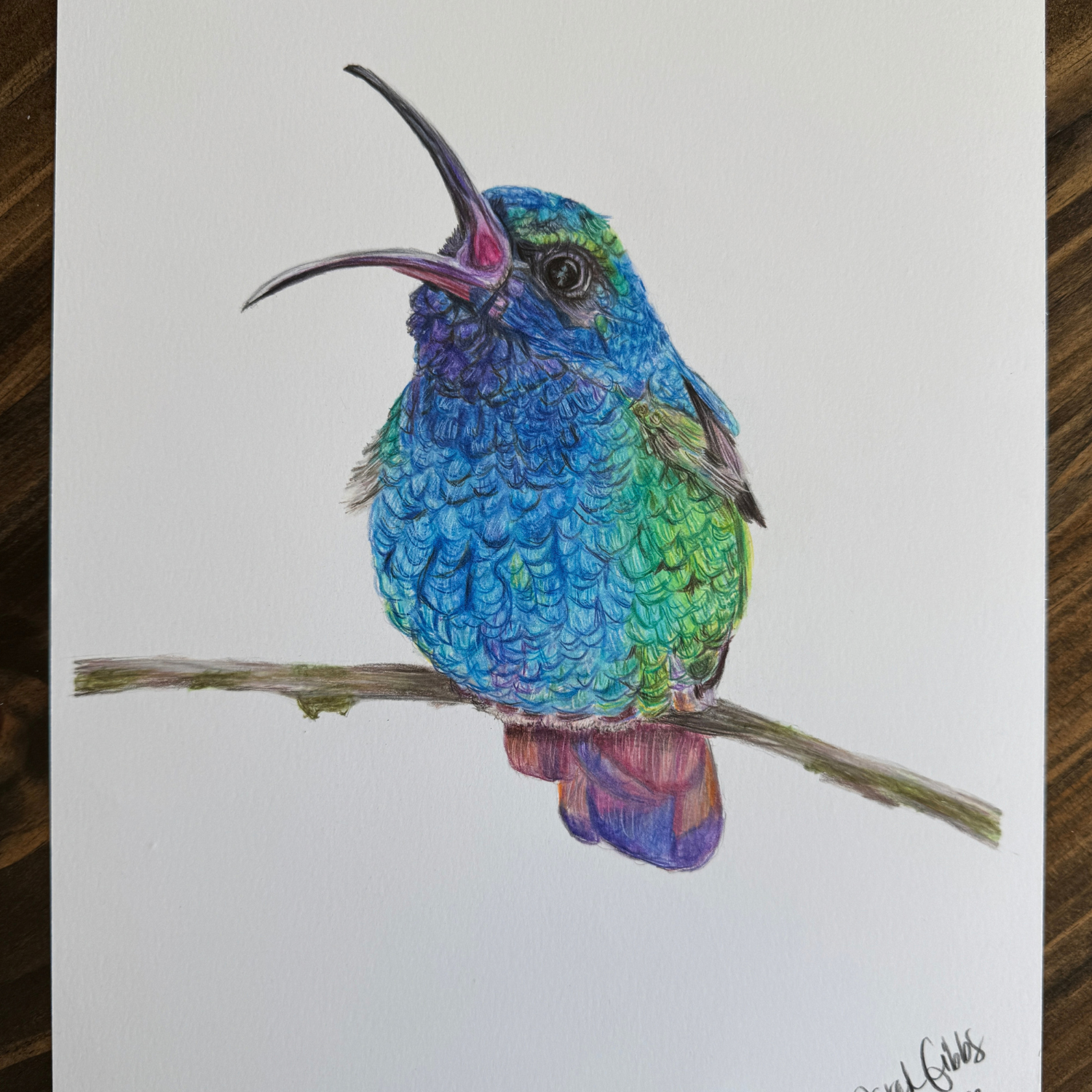 blue singing bird art.png