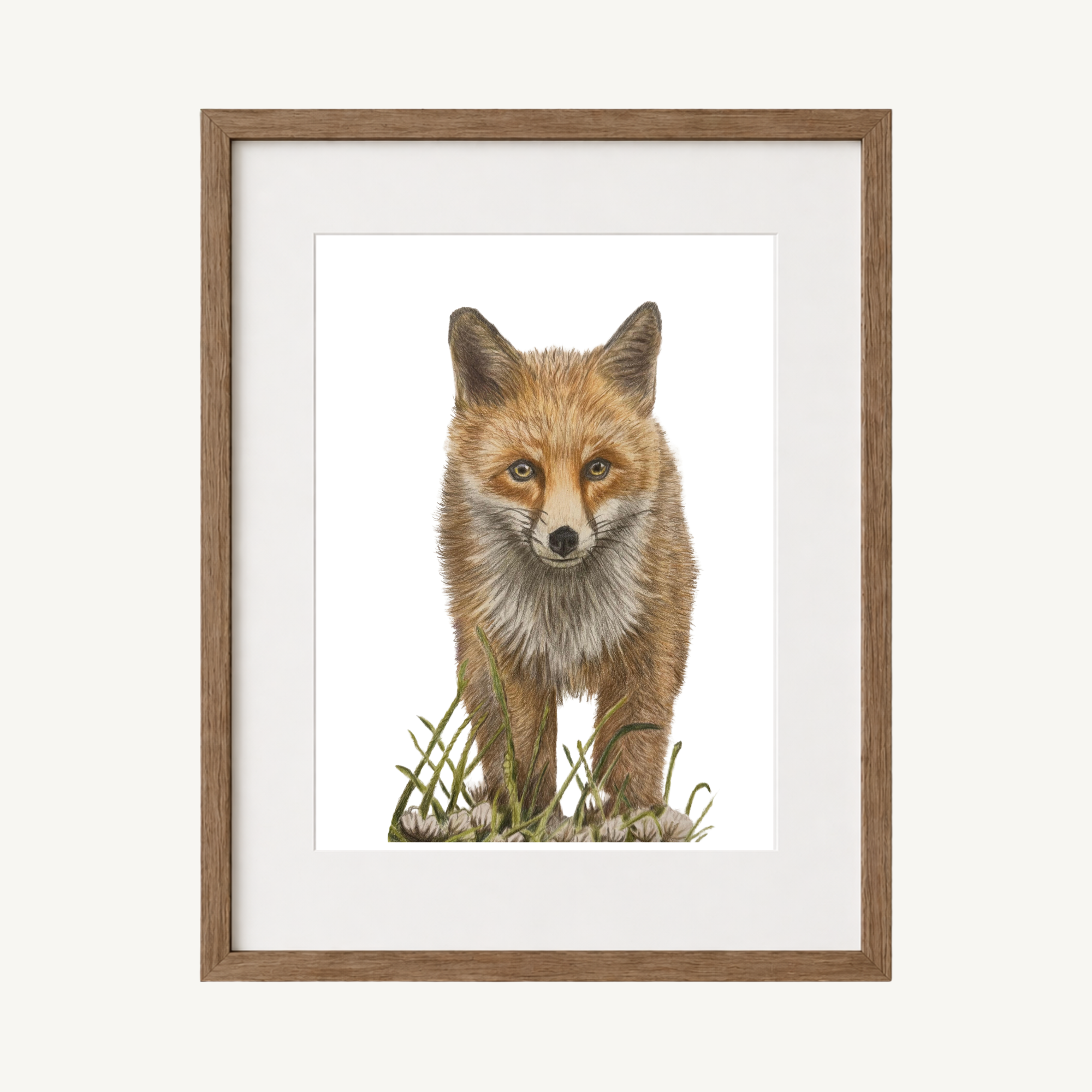 Fox Art Print