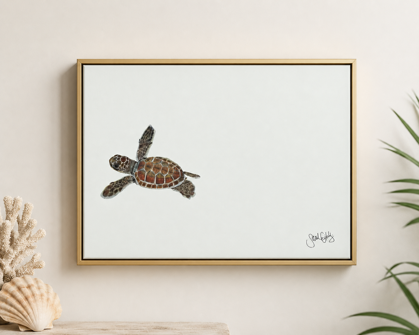 Sea Turtle Hatchling Canvas
