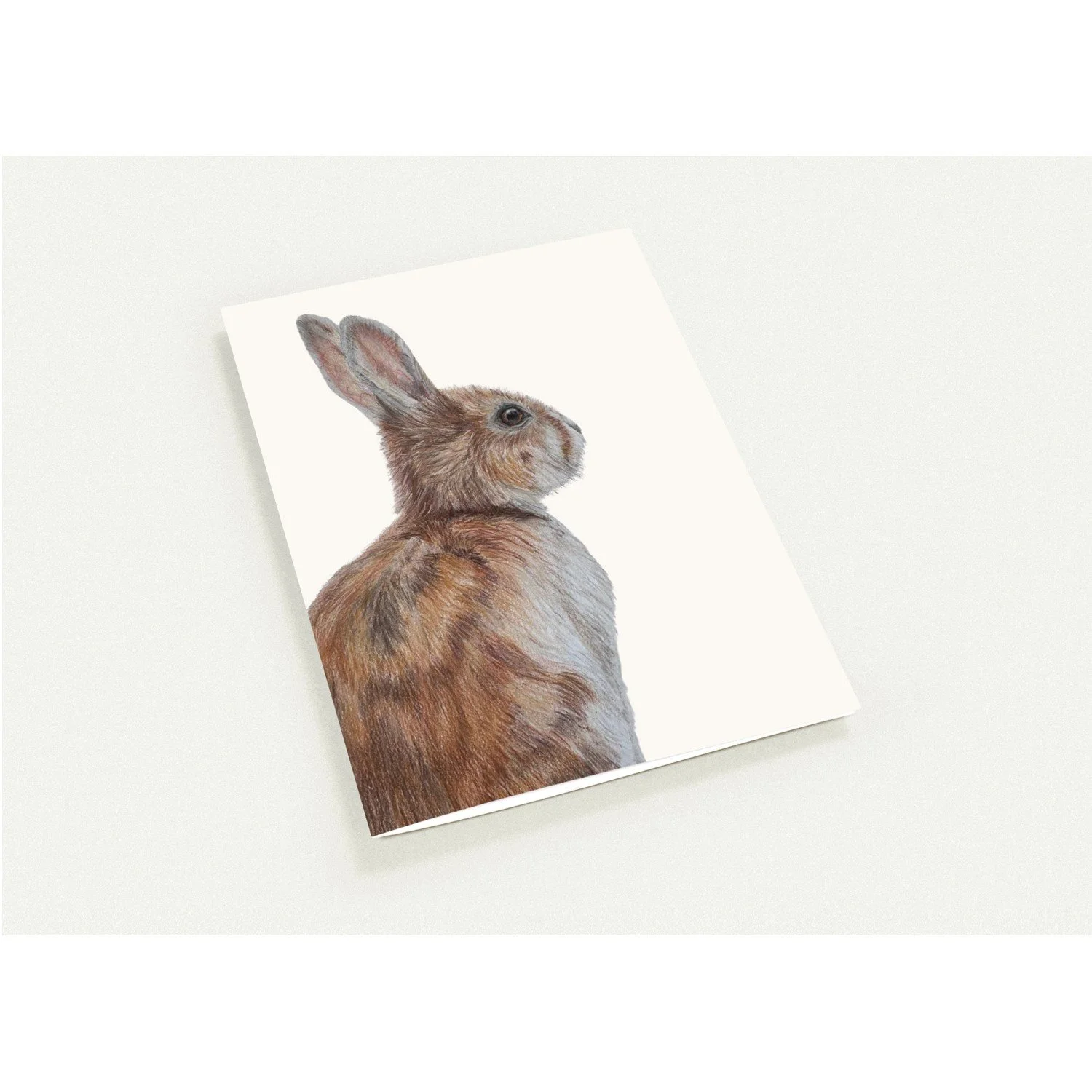Rabbit Card Mockup.jpeg