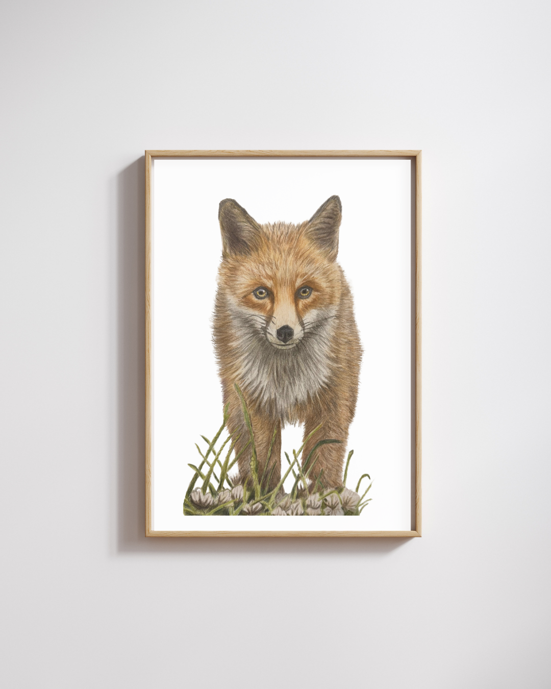 Fox Wall Art Print