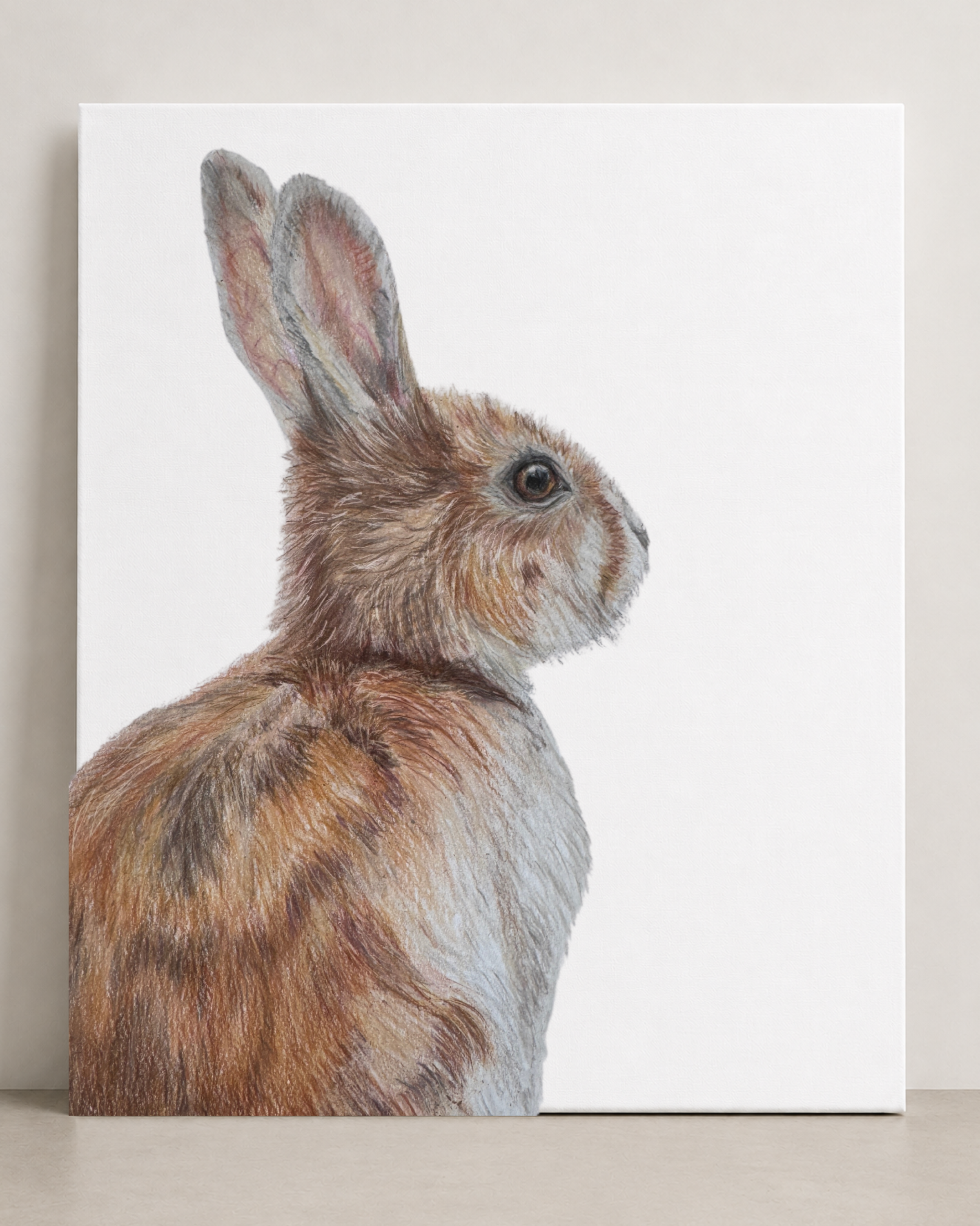 Rabbit Canvas
