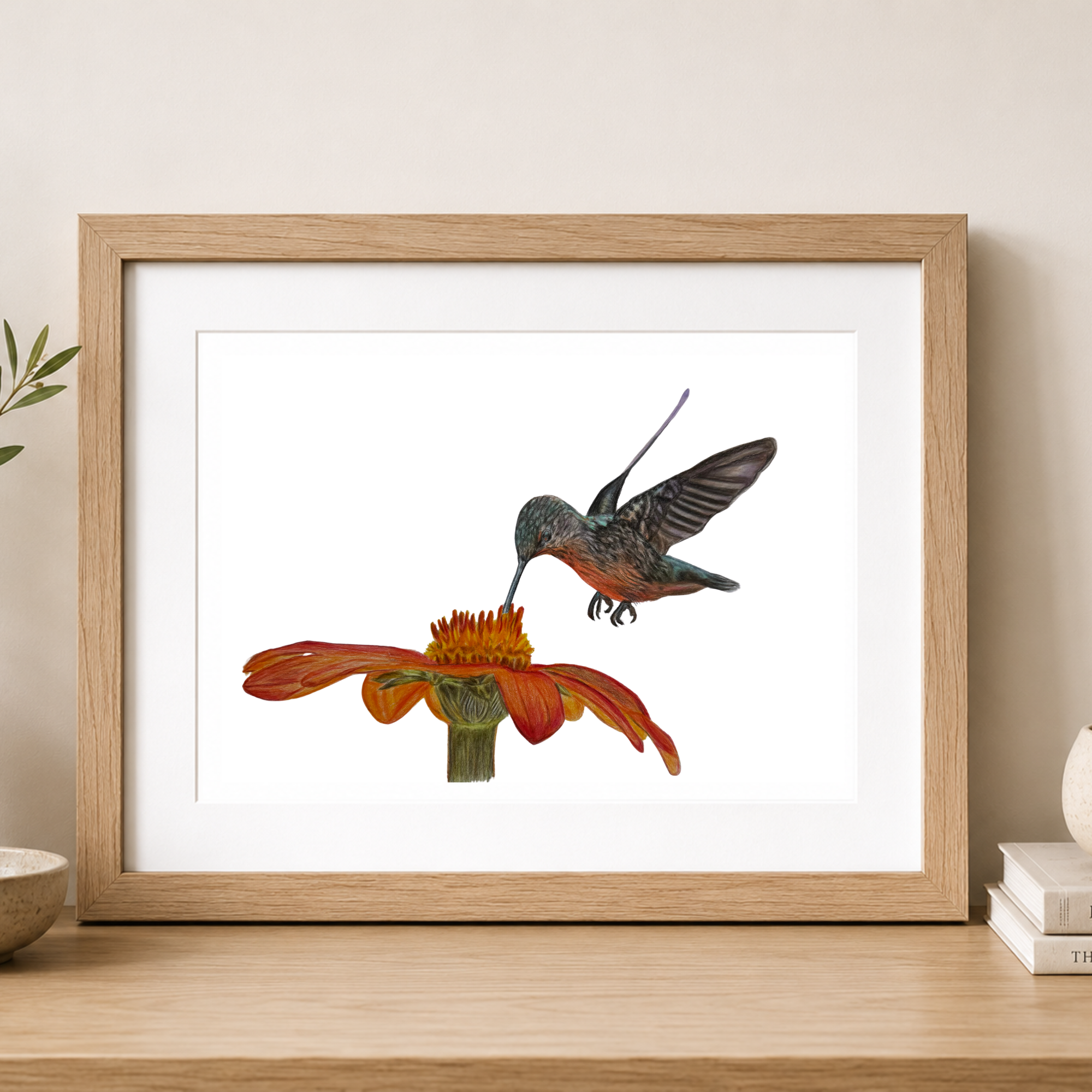Hummingbird Mockup.png