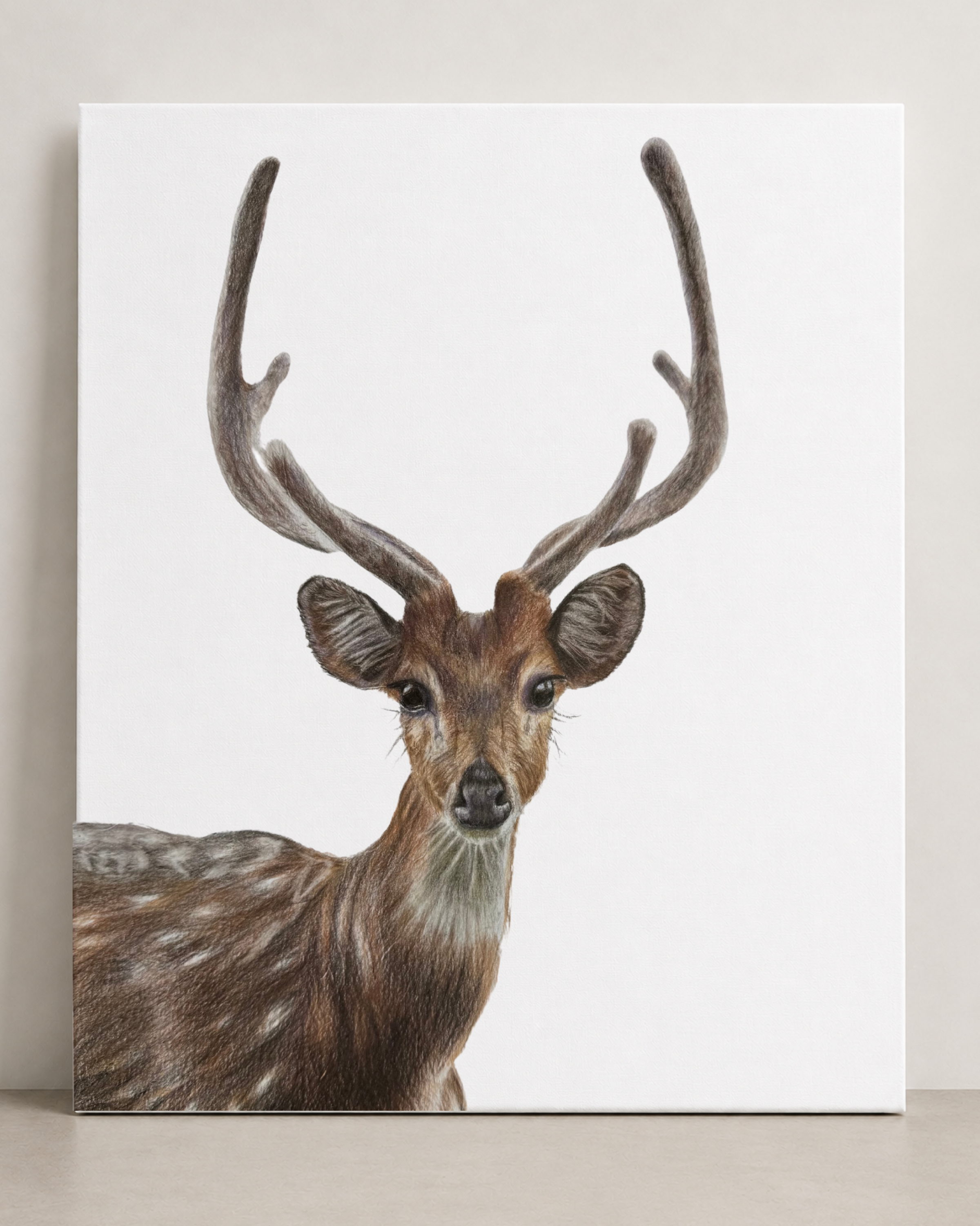 Deer Canvas