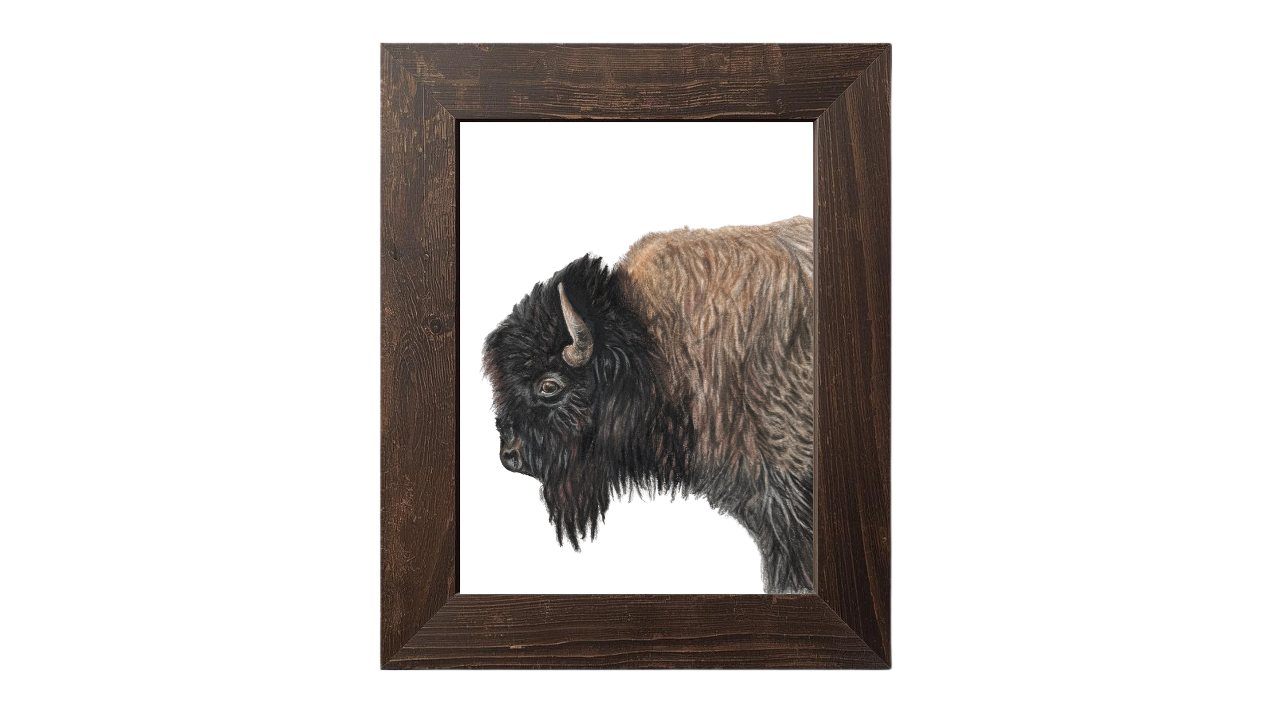 Bison P Frame CAI 3.png