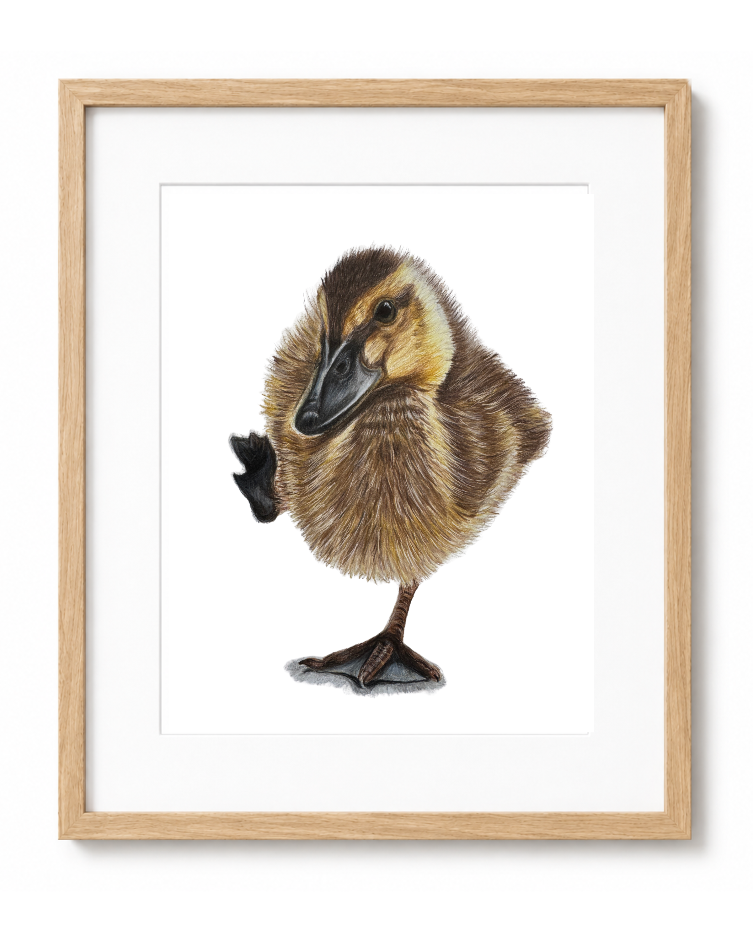 Duckling Framed Art