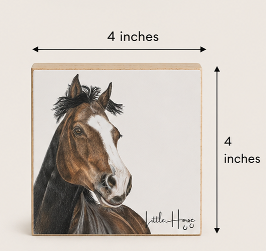 litle horse 2.png