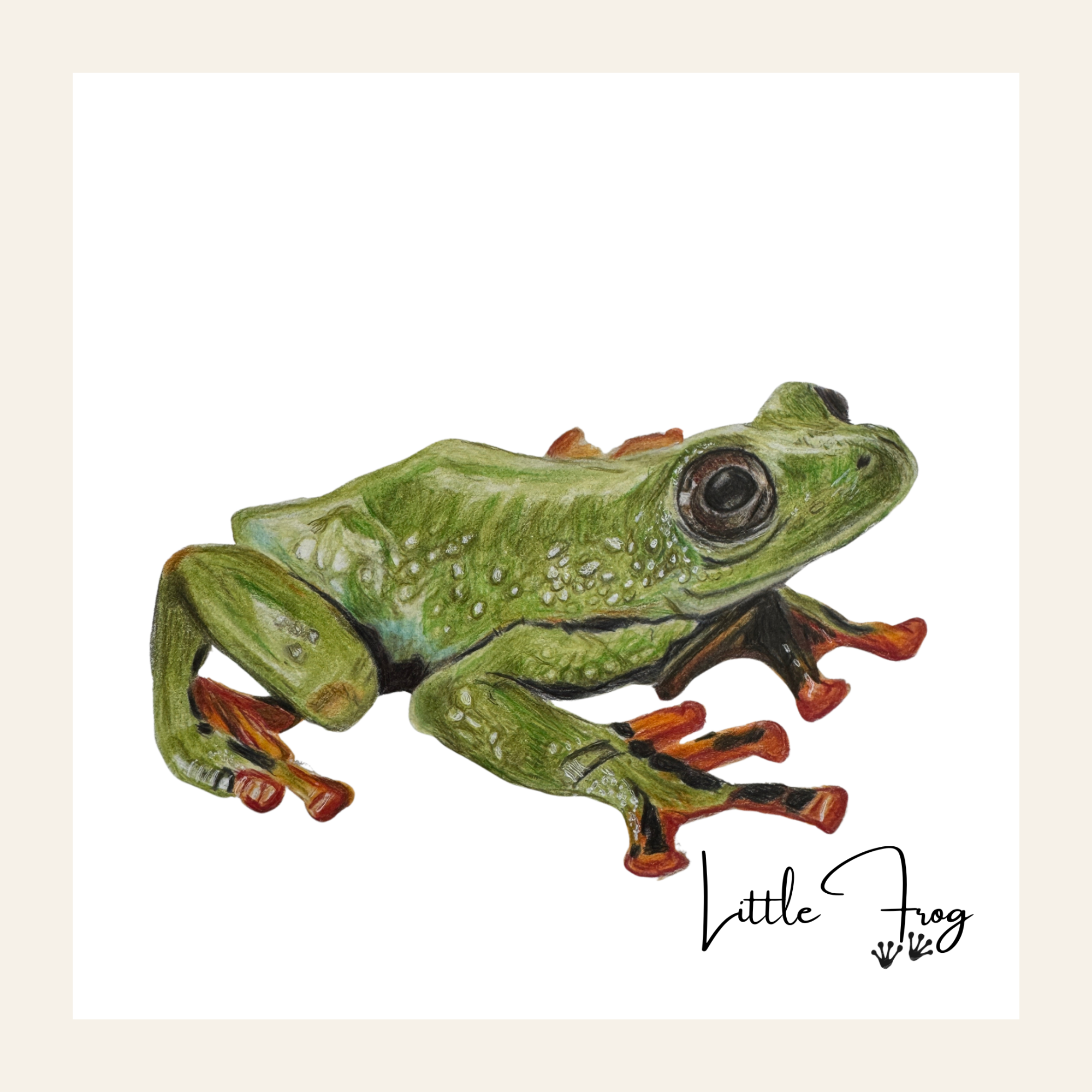 Frog - Little Print