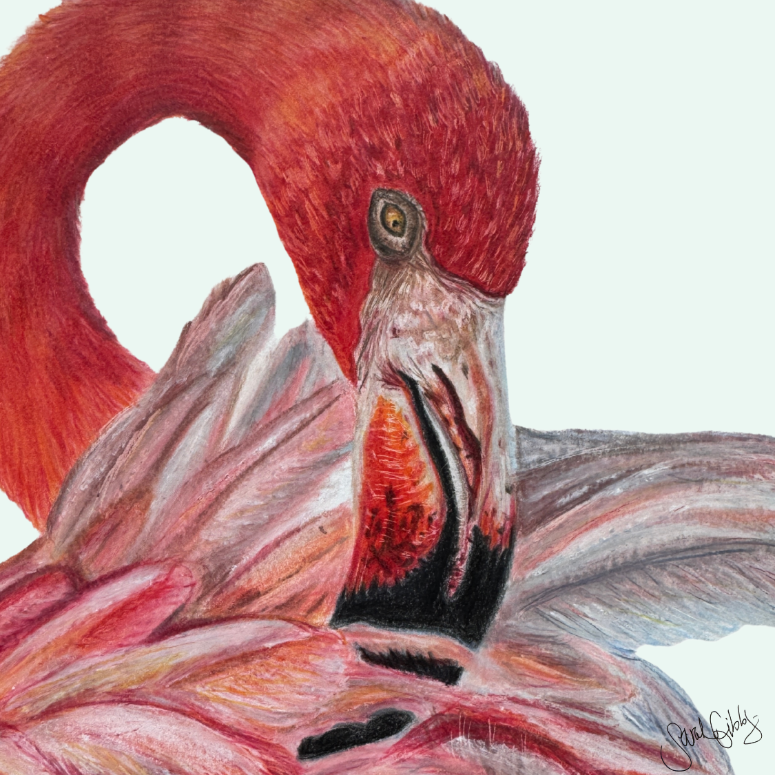 Flamingo Art Print