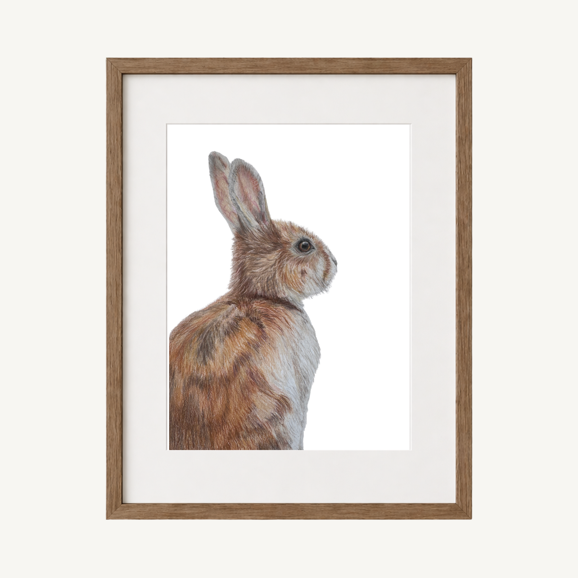 Rabbit Art Print