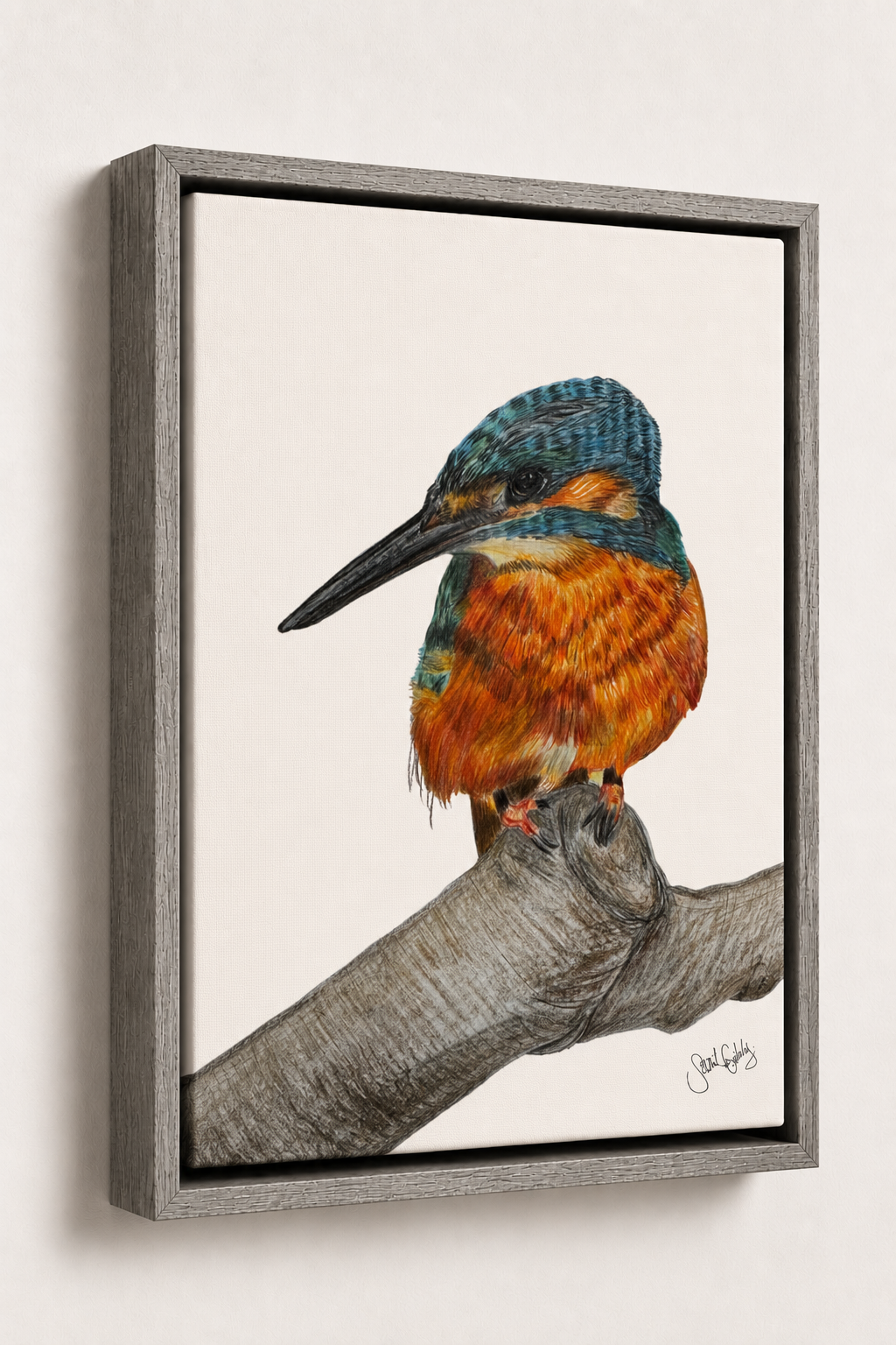 Kingfisher Canvas Gray Frame.png