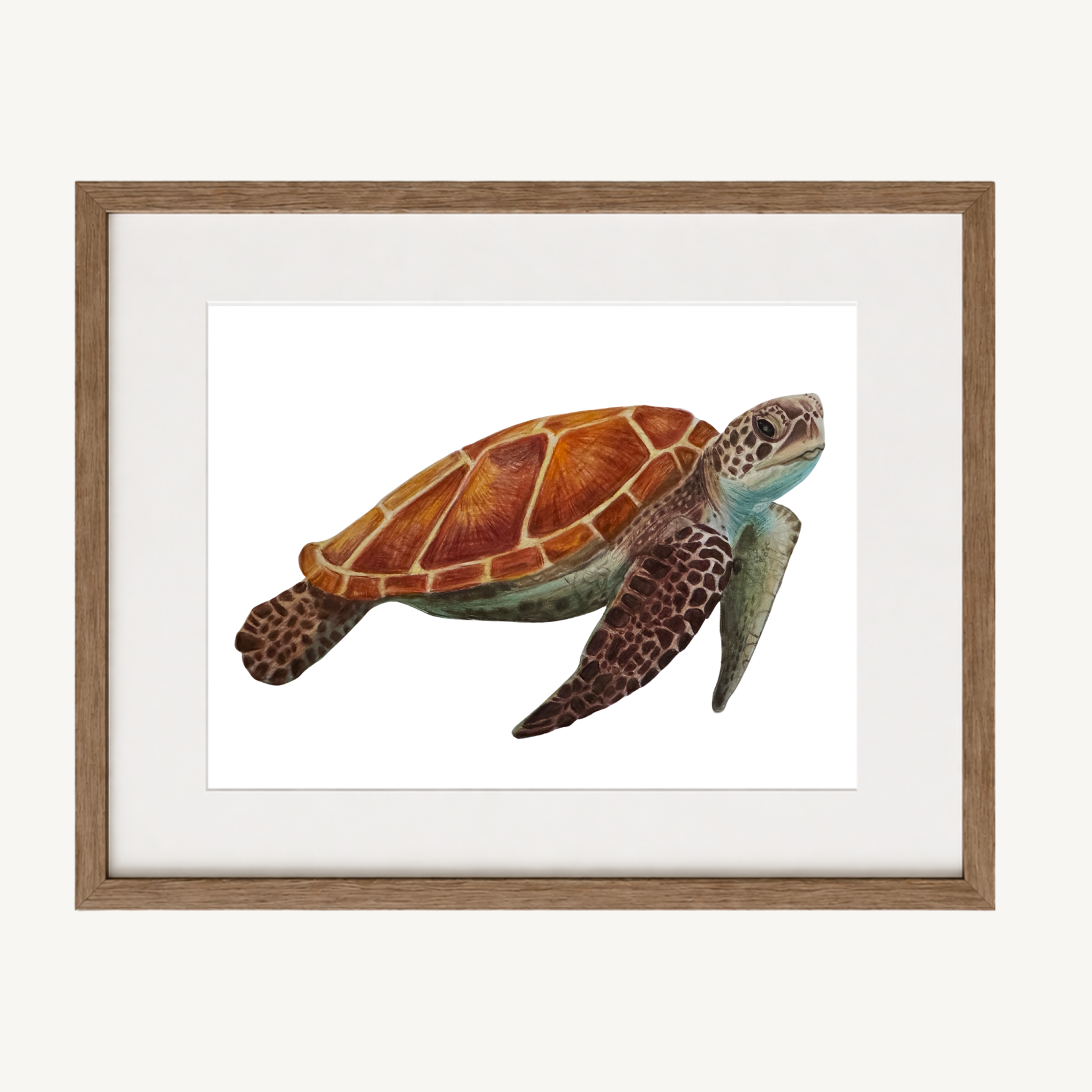 Sea Turtle Thumbnail.png