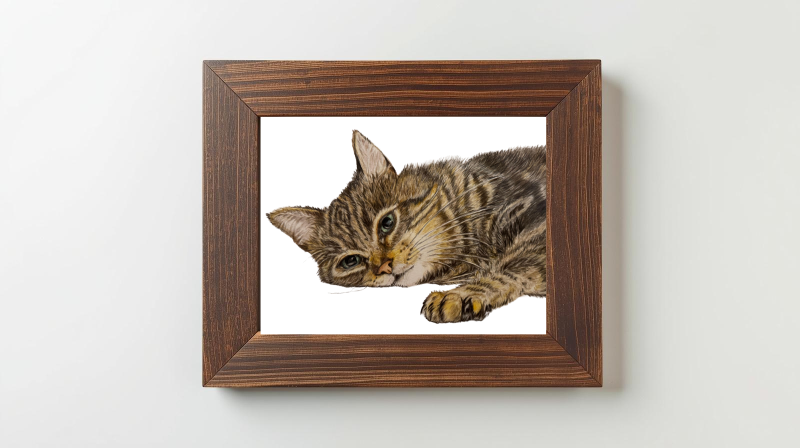 Cat Frame CAI.png
