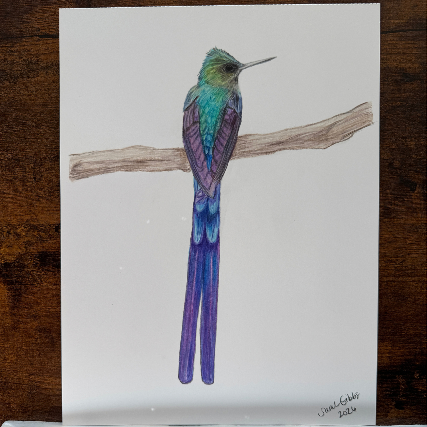 colored pencil art.png