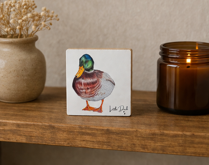mallard duck little 3.png