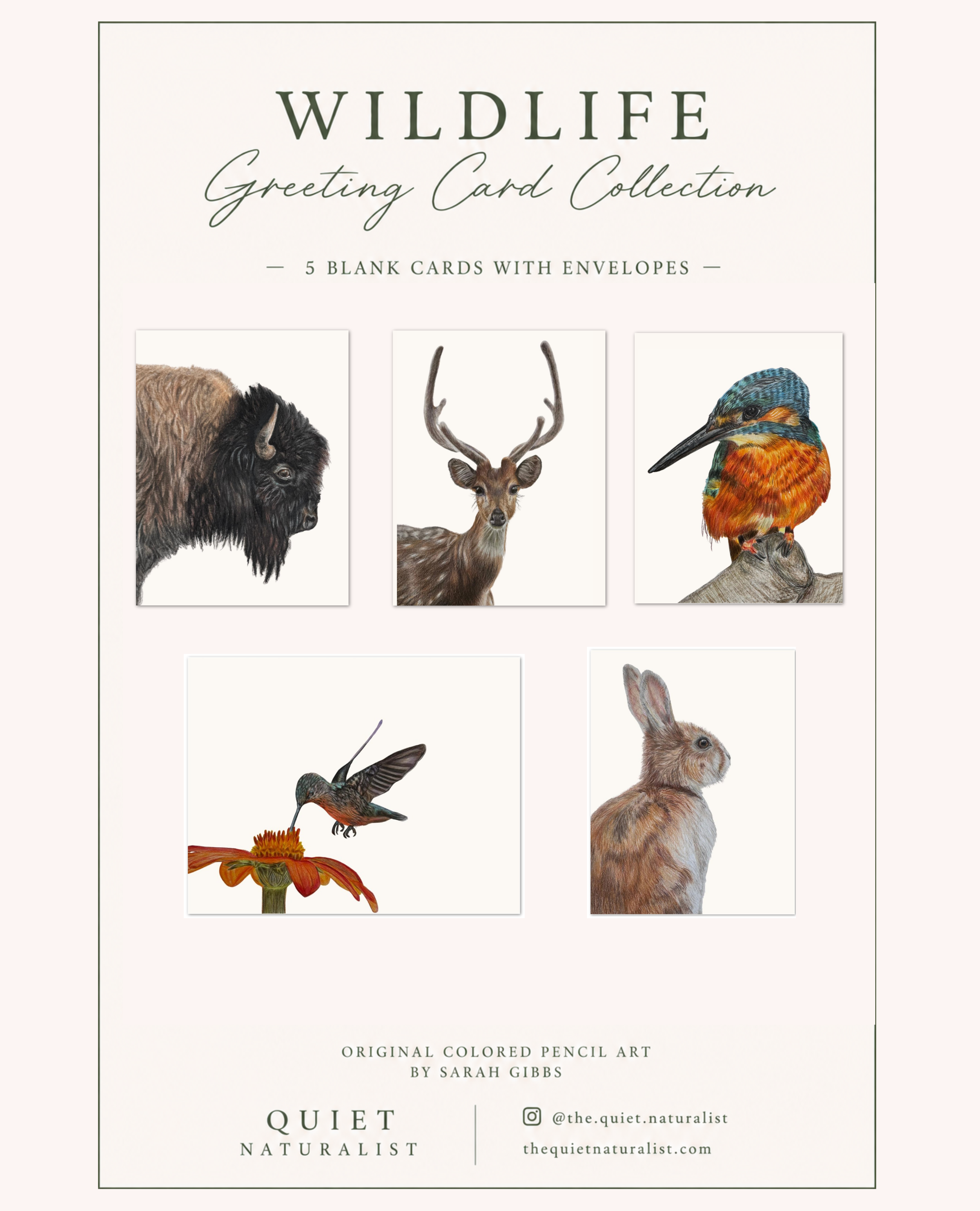 Wildlife Greeting Cards