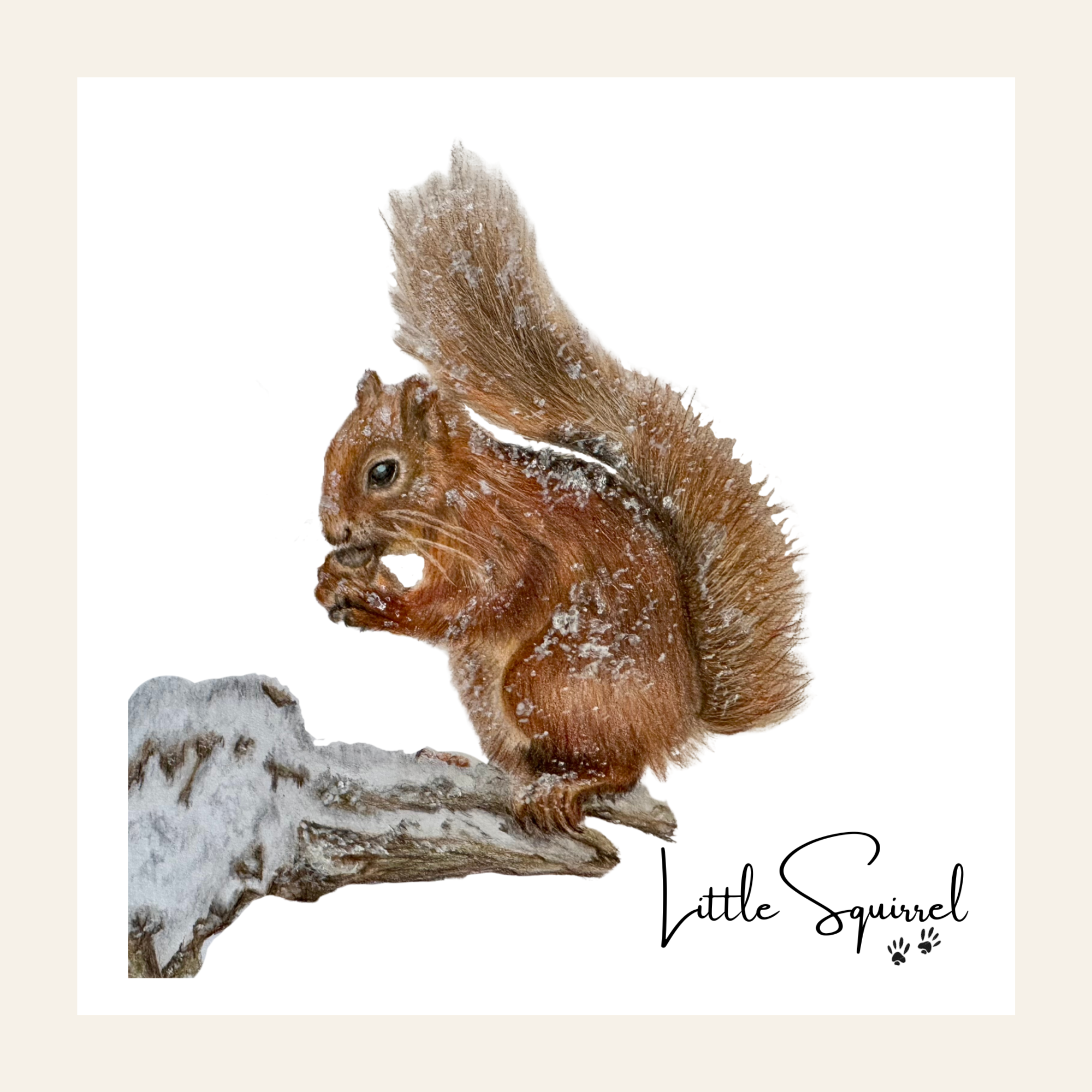 Squirrel - Little Print