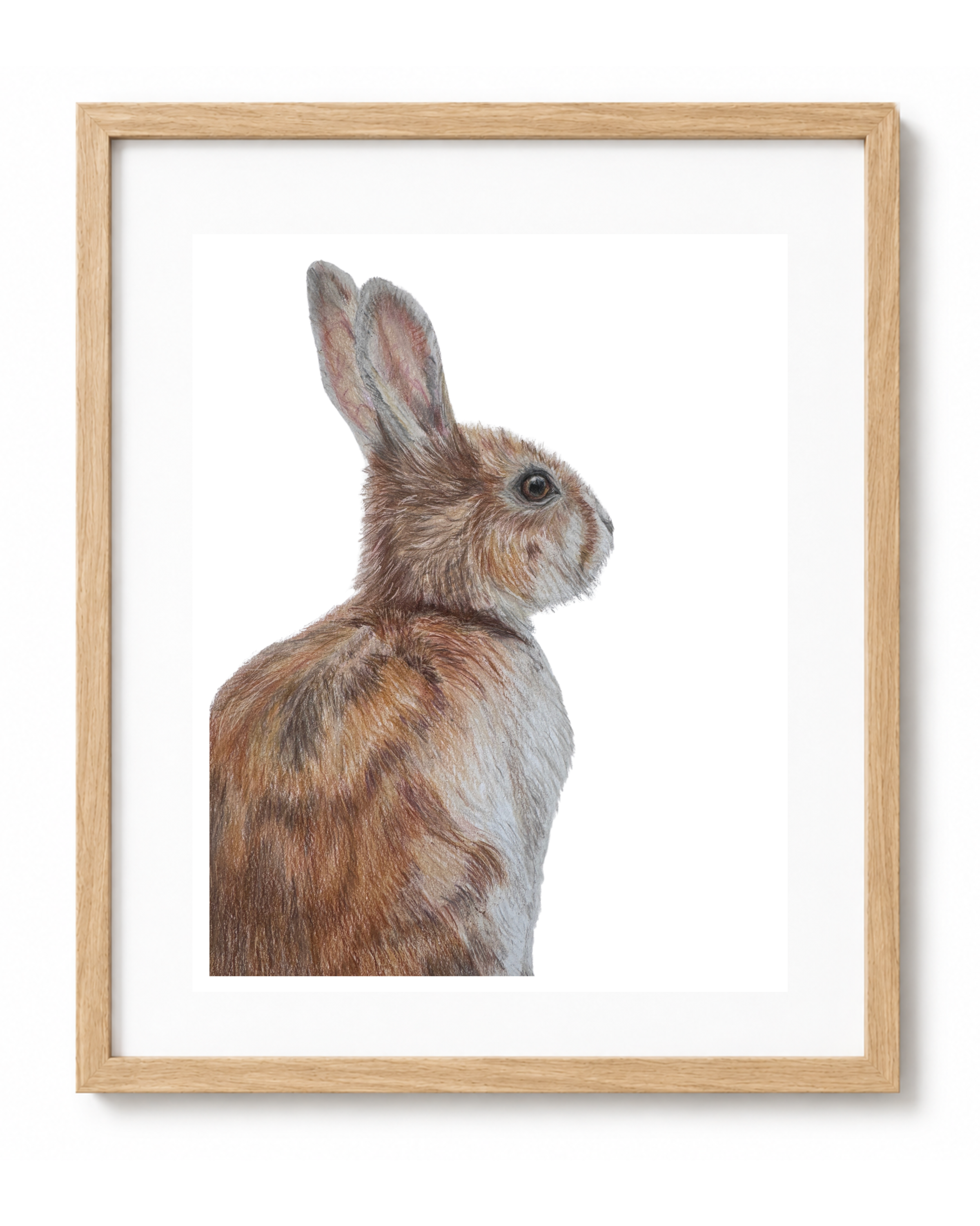 Rabbit Framed Art