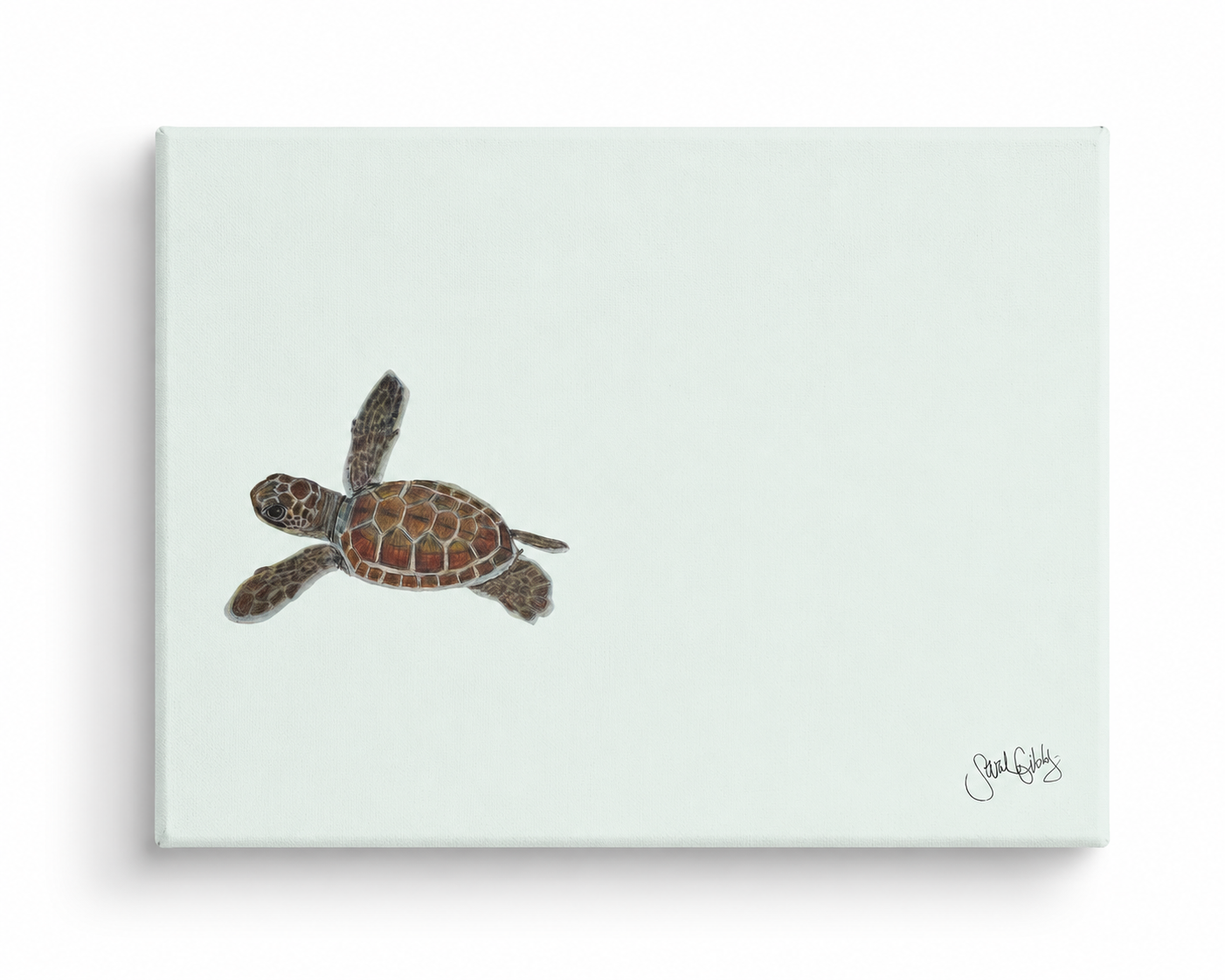 Baby Sea Turtle Canvas.png