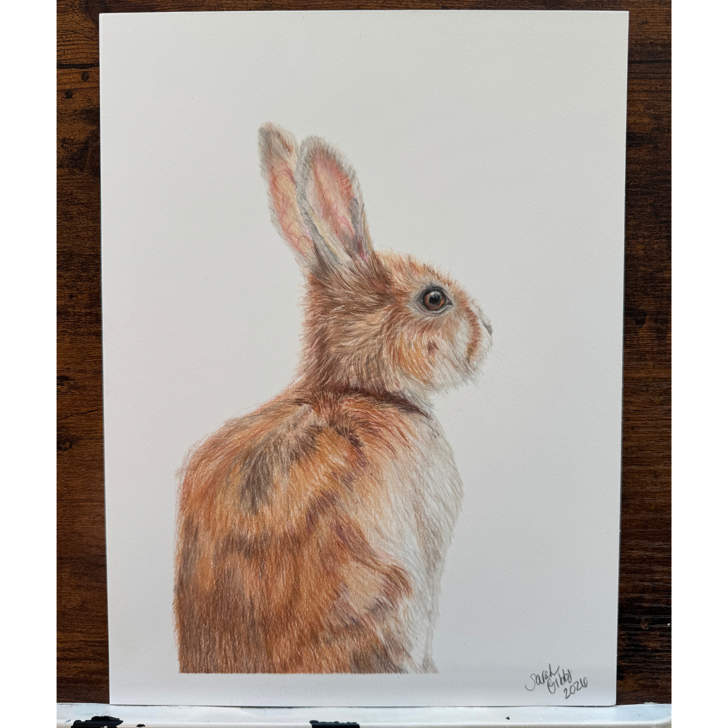 "Air, Hare Lair" - Rabbit - Original Art