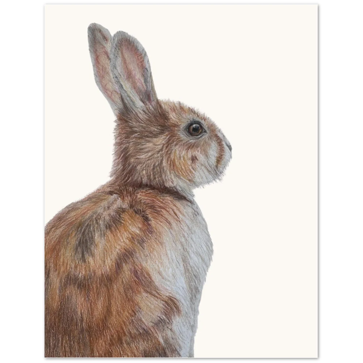 Rabbit Card Thumnai.jpeg