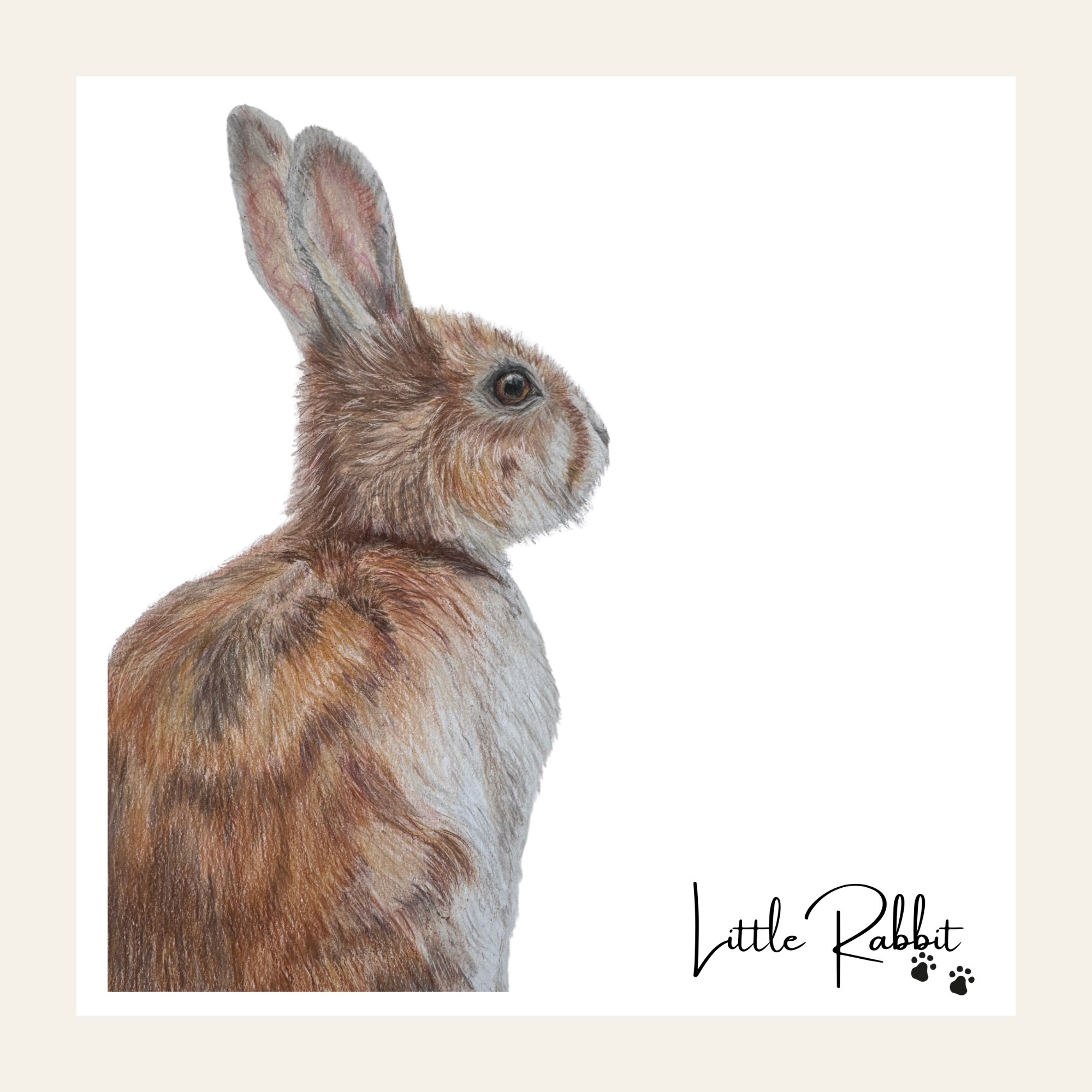 Rabbit - Little Print