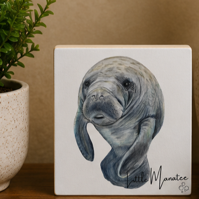 Little+Manatee+Mockups.png