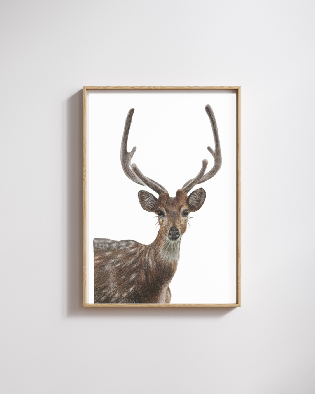 Deer Wall Art Print