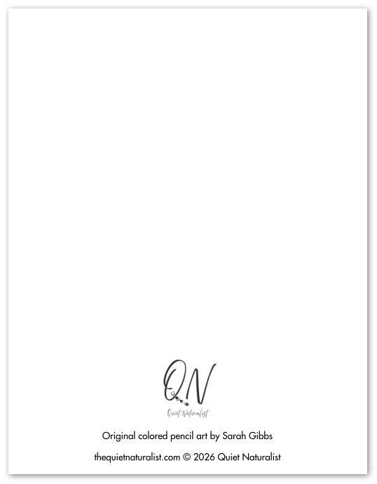 Back of Card.png (Copy)