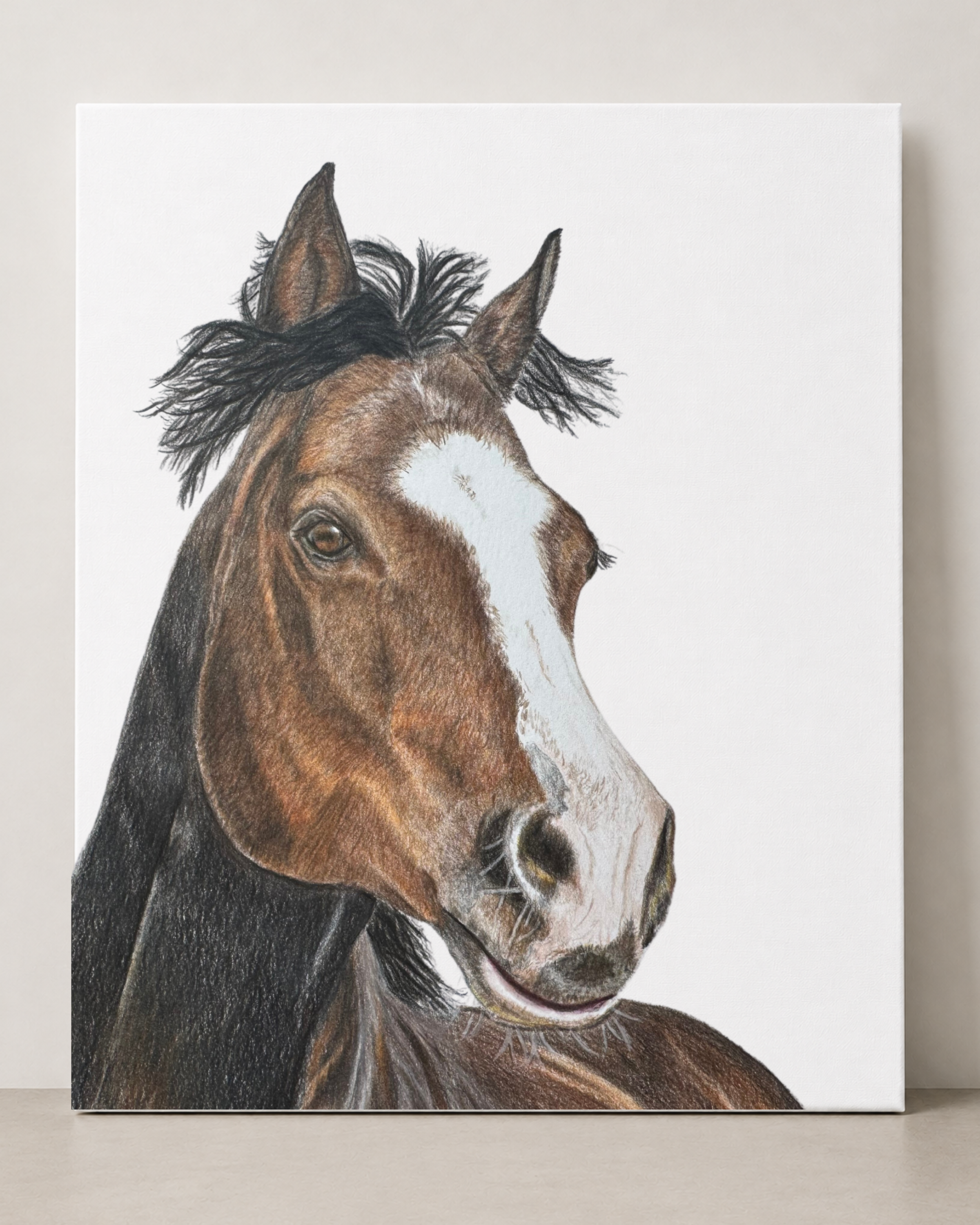 Horse%2B16x20%2BCanvas%2BThumbnail.png