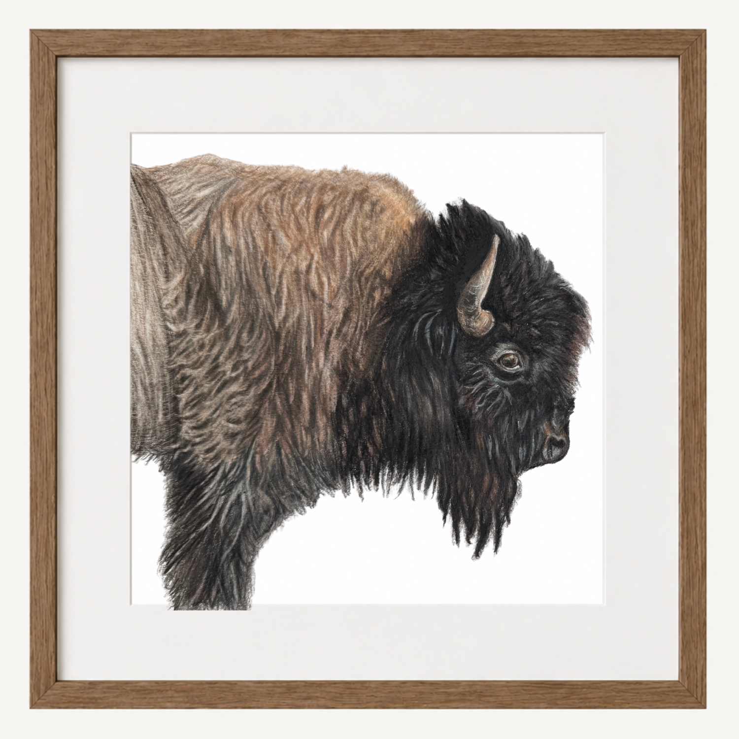 Bison Square Thumbnail.png