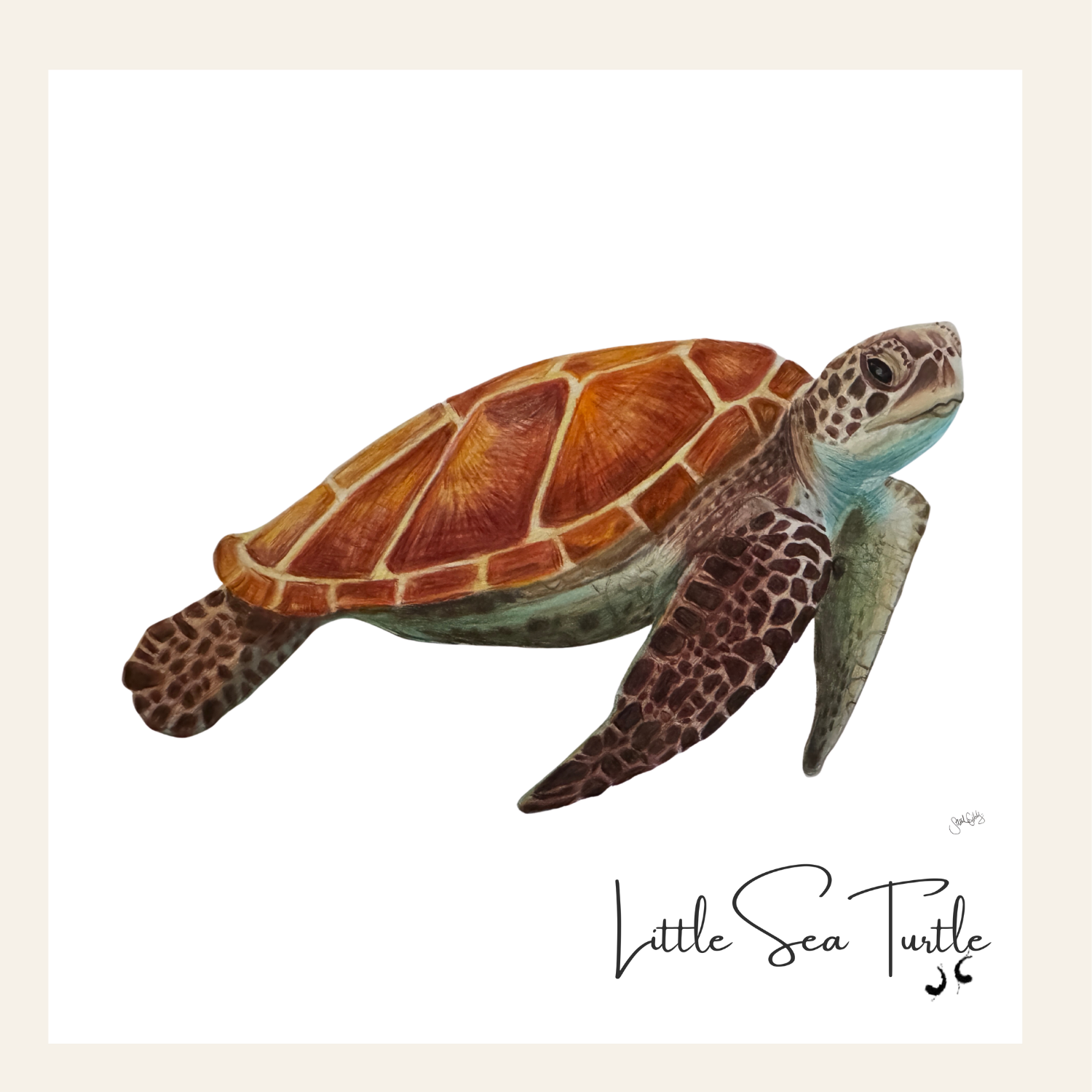 LItte Sea Turtle Art Wood Thumbnail.png