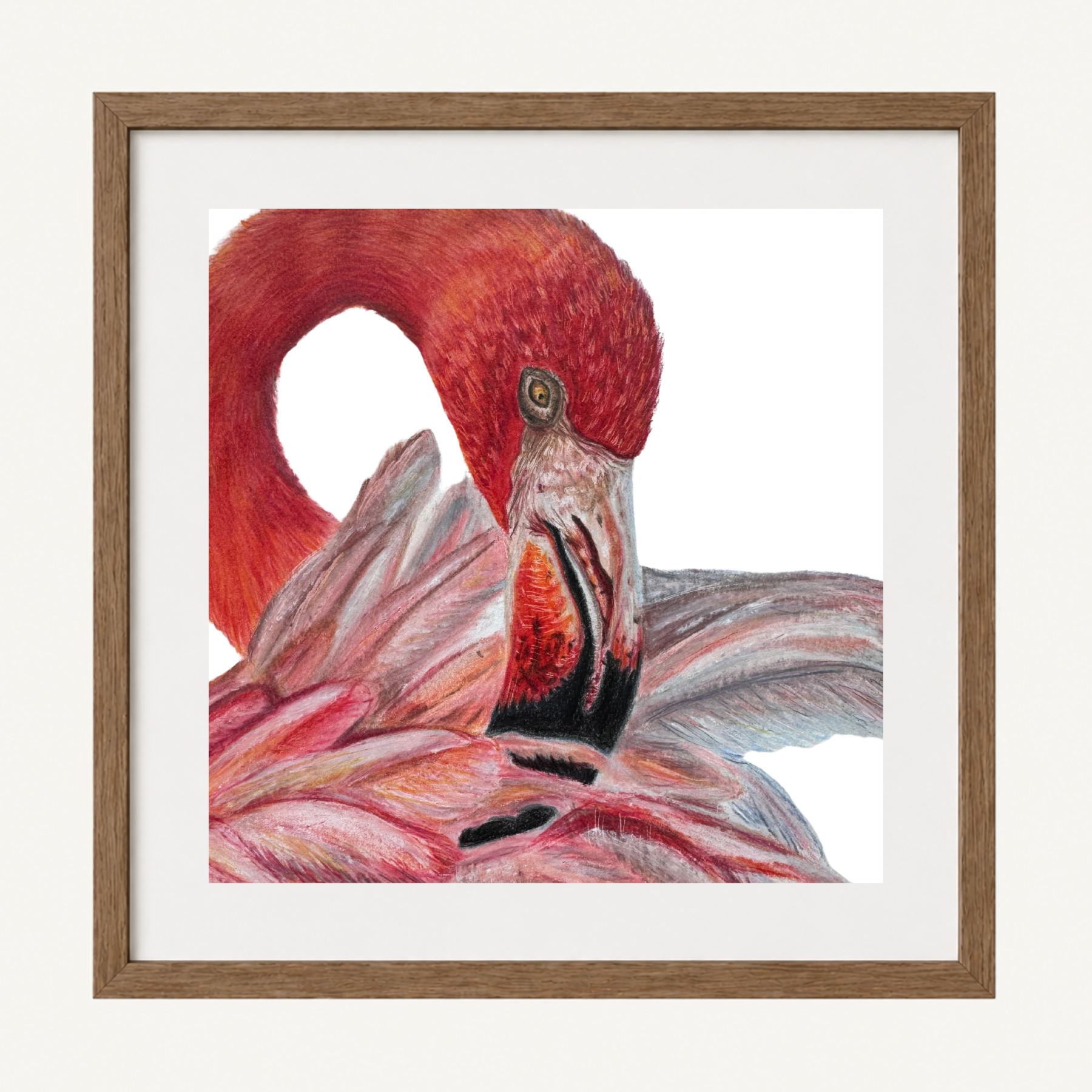 Flamingo Thumbnail.png