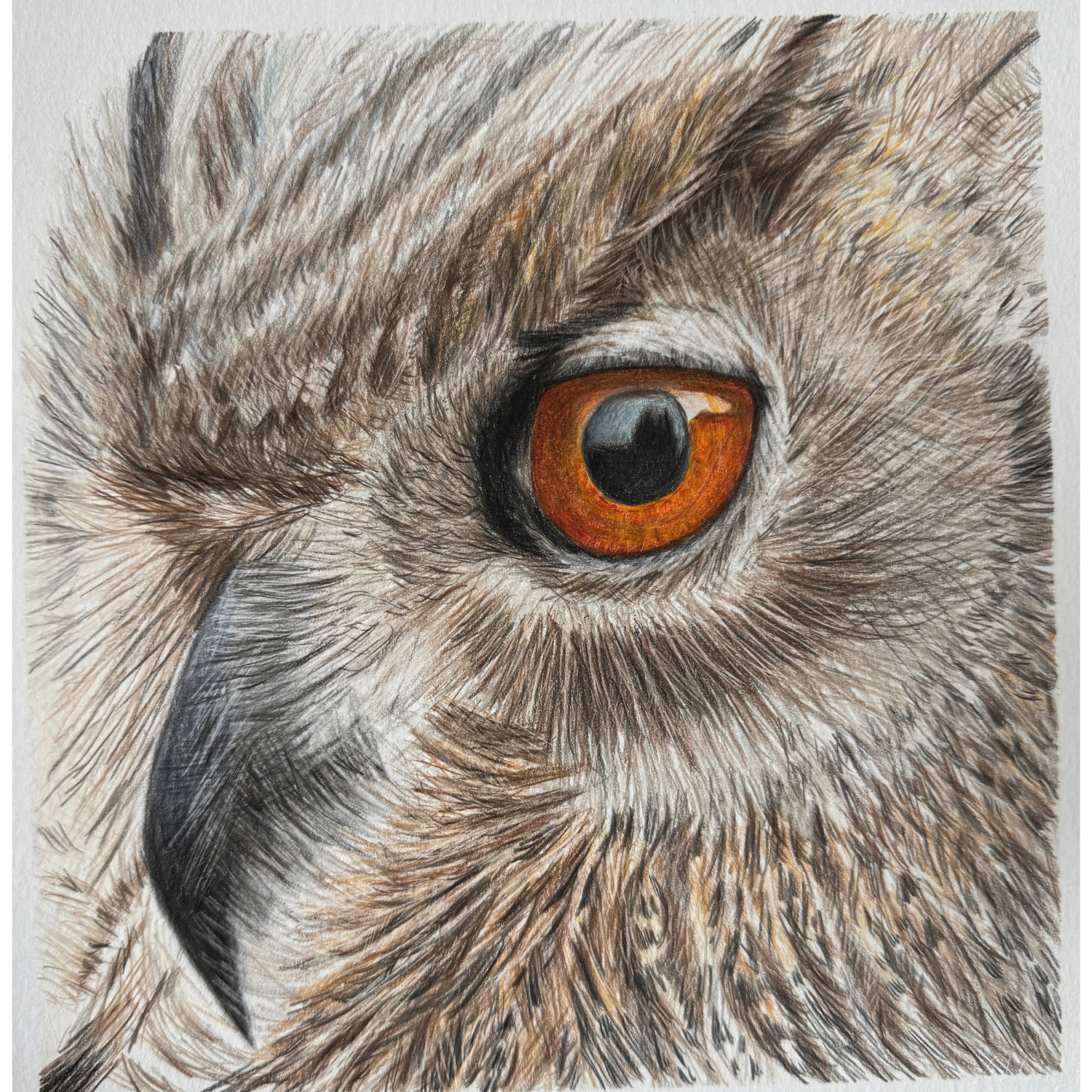 Owl Original Art.png