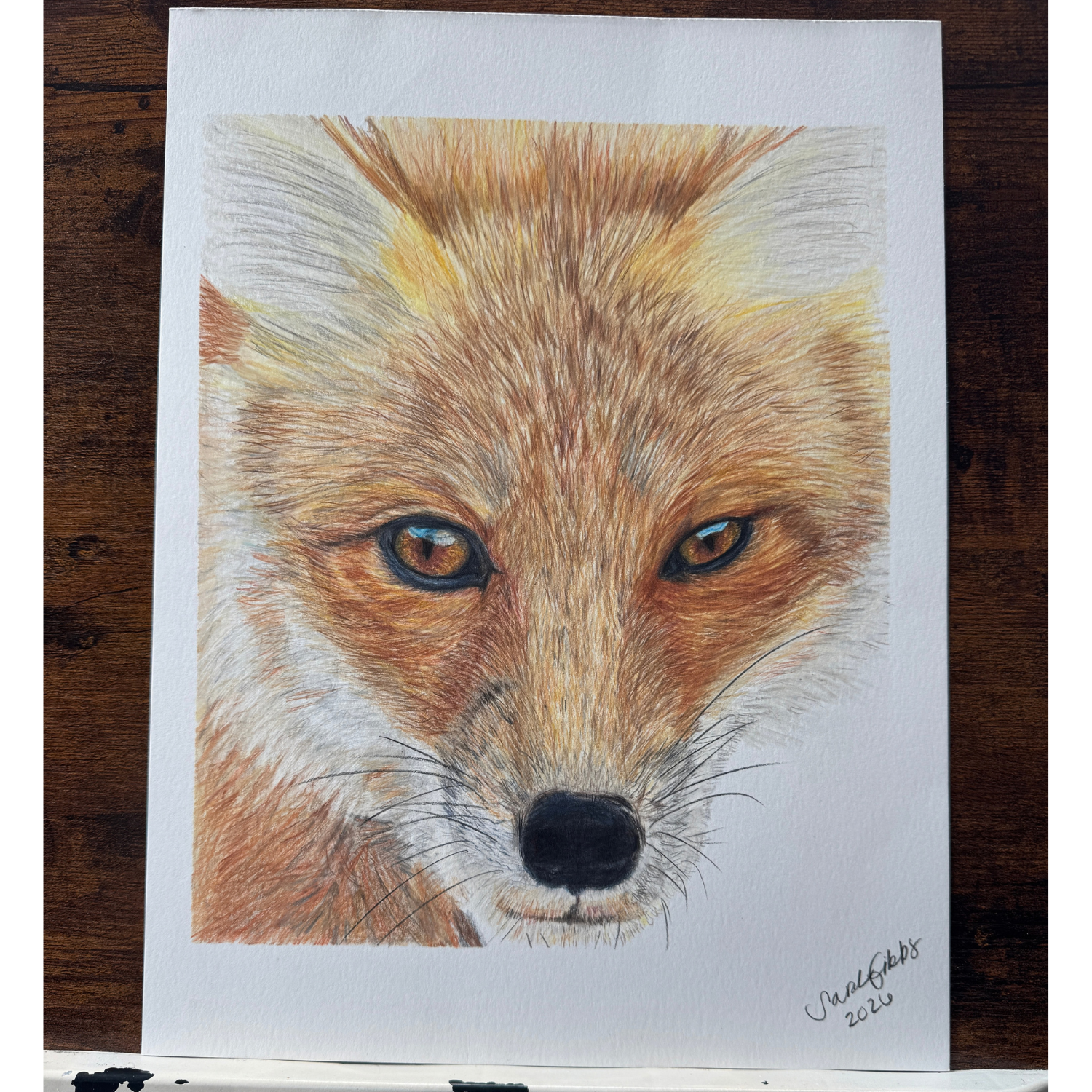 Fox Drawing.png