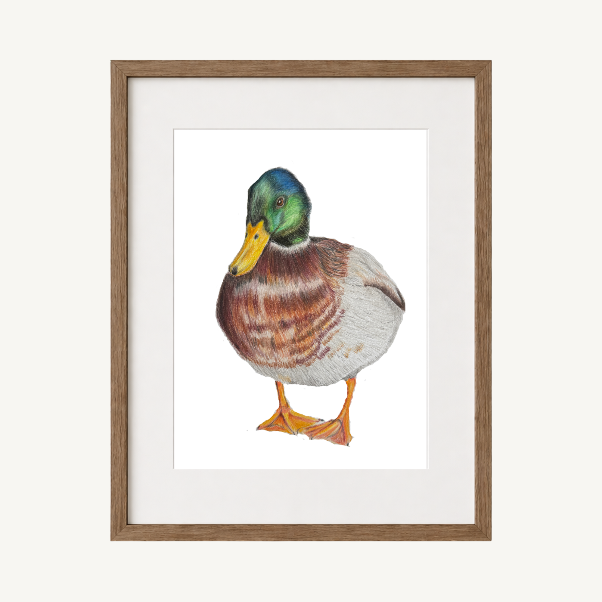 Duck Thumbnail.png