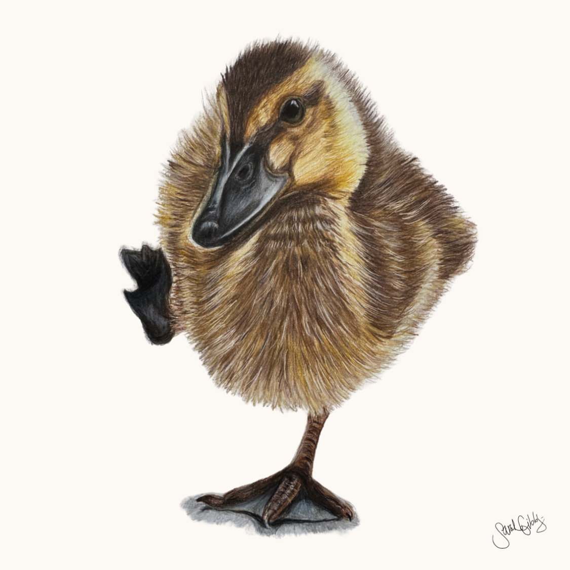 Duckling Universal Thumbnail.png