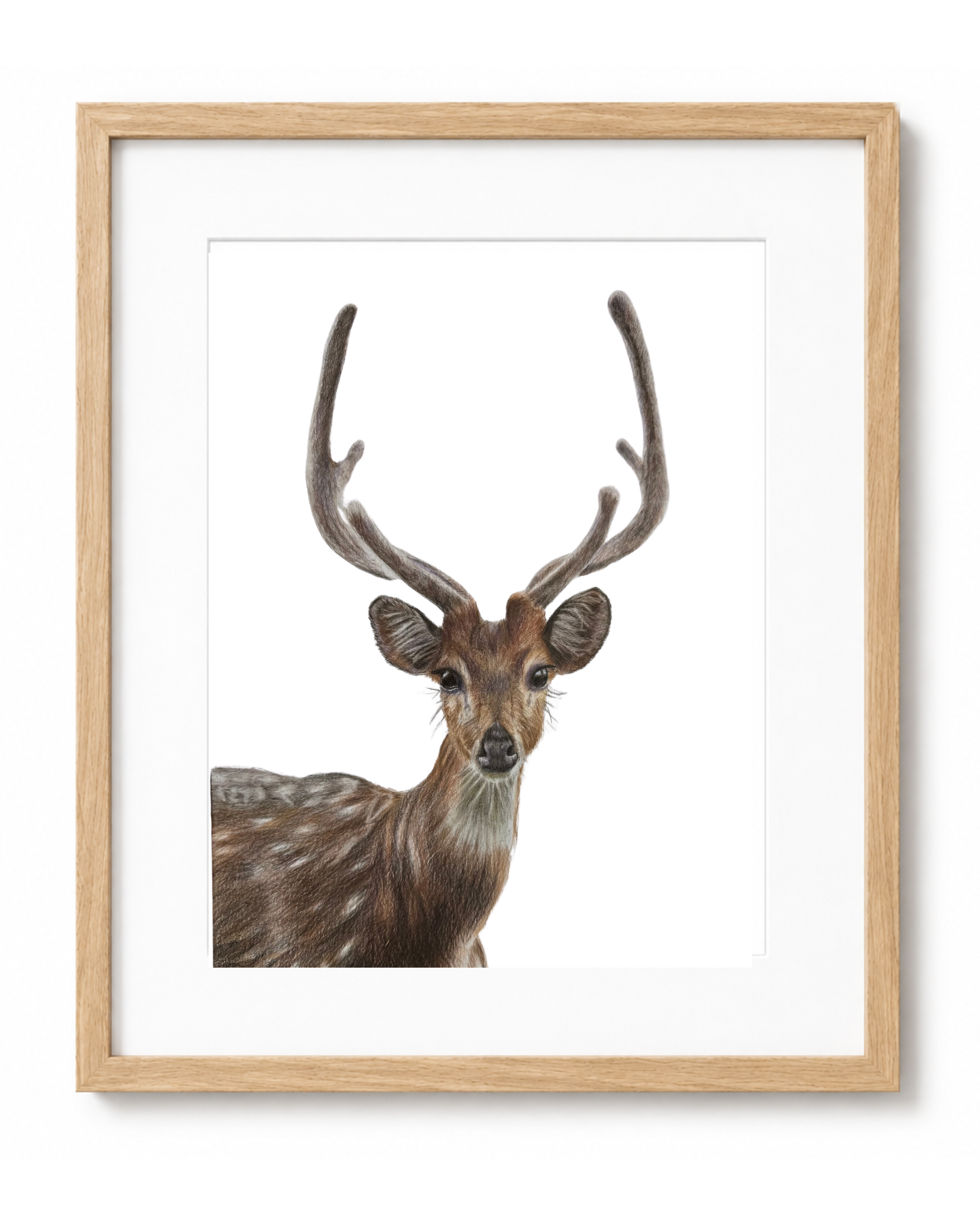 Deer Framed Art