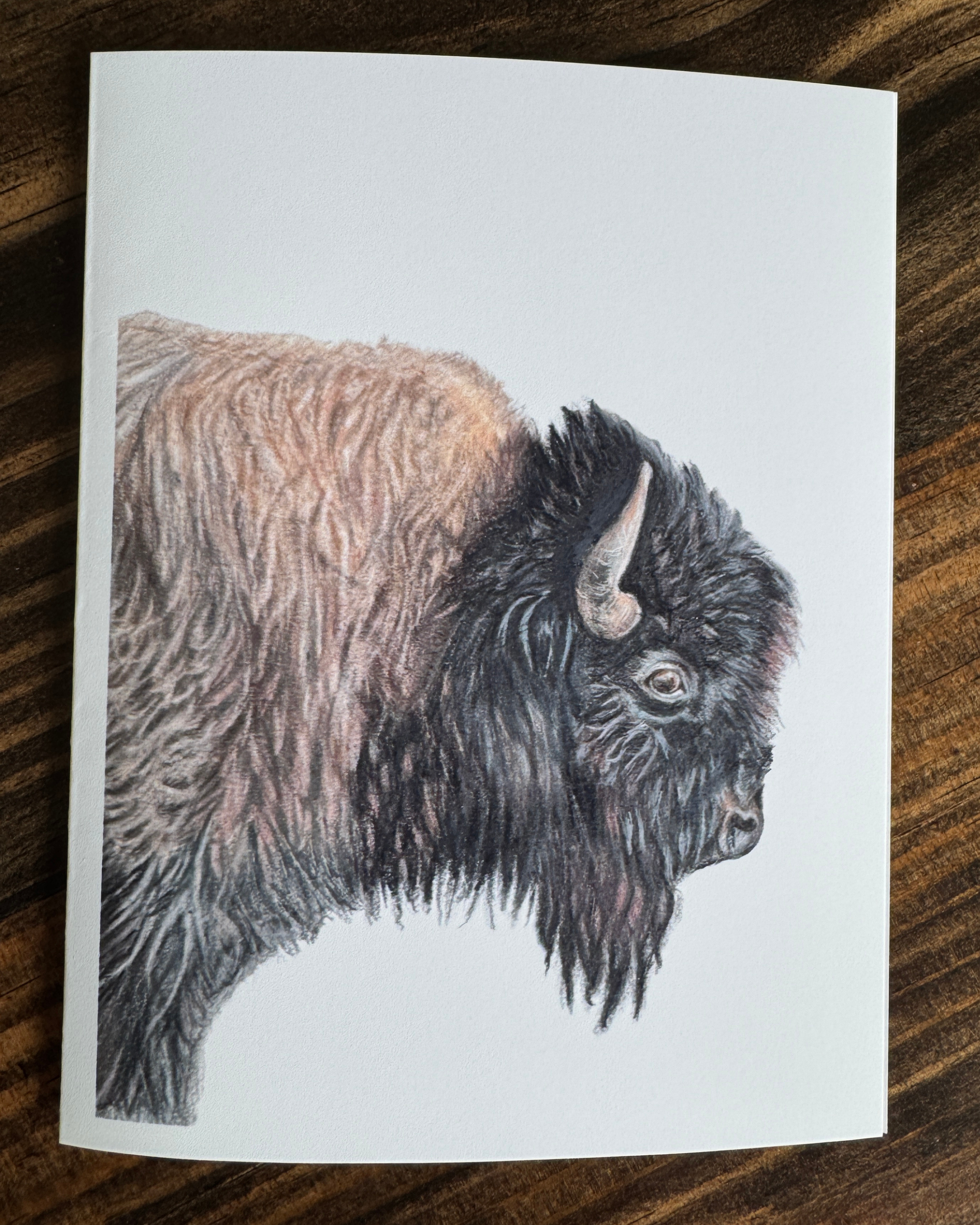 Bison Greeting Card