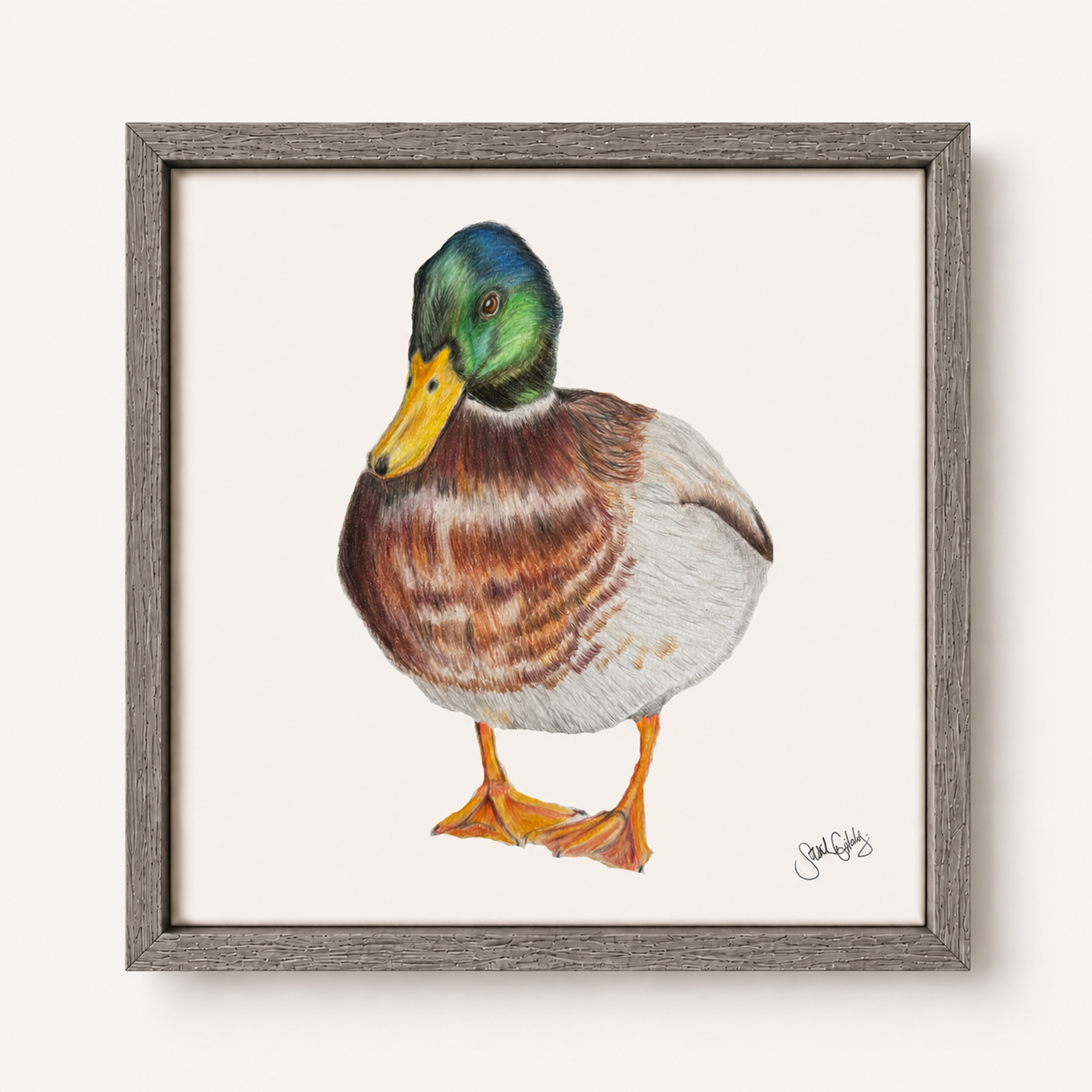 Duck Gray Frame Canvas.png