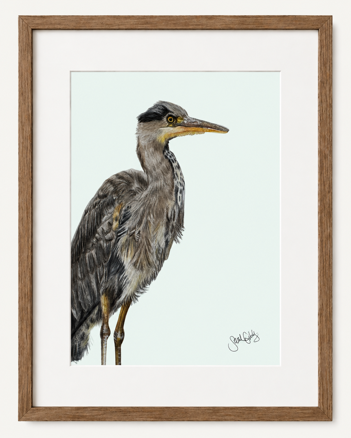 Heron Thumbnail Frame.png