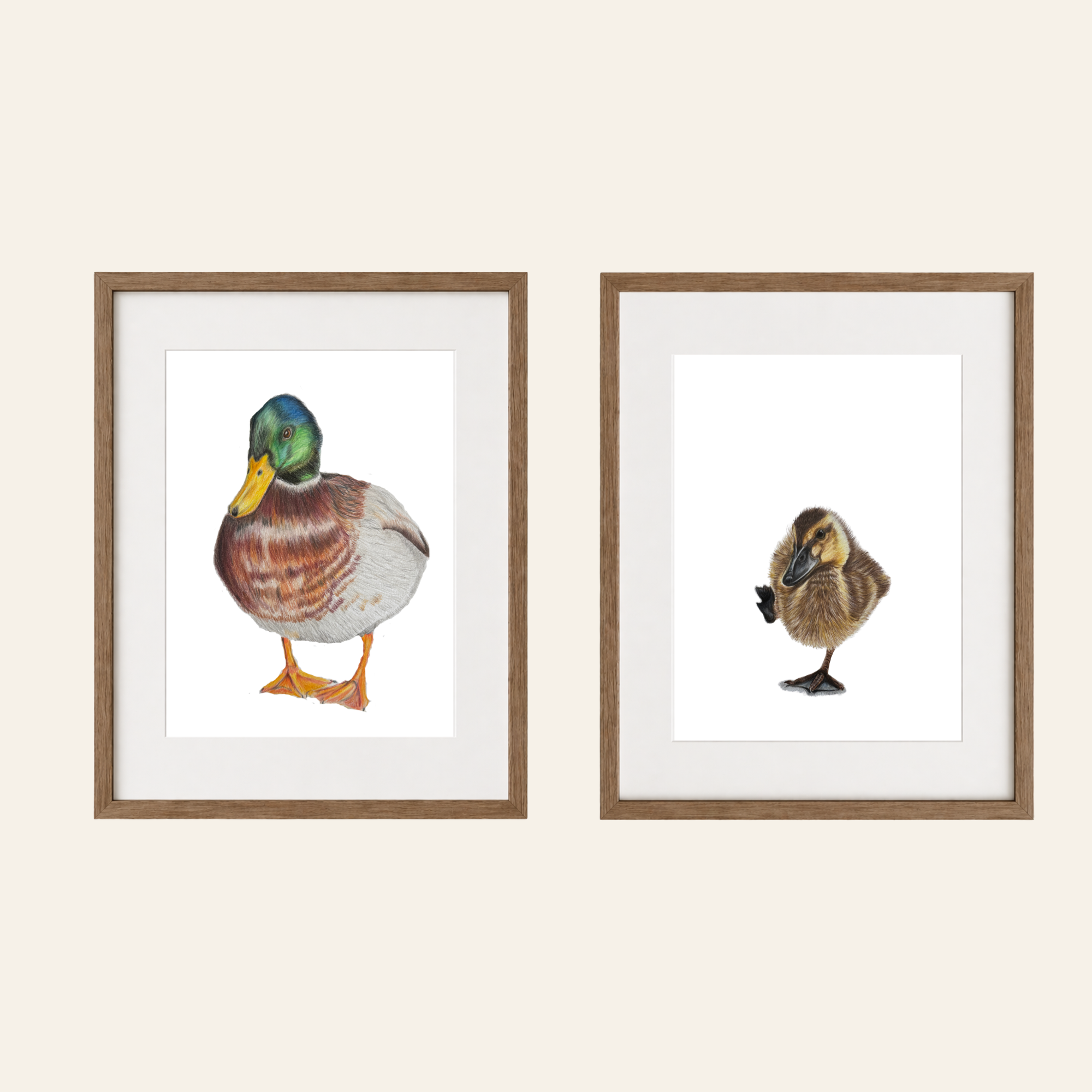 Duck and Duckling Thumbnail.png