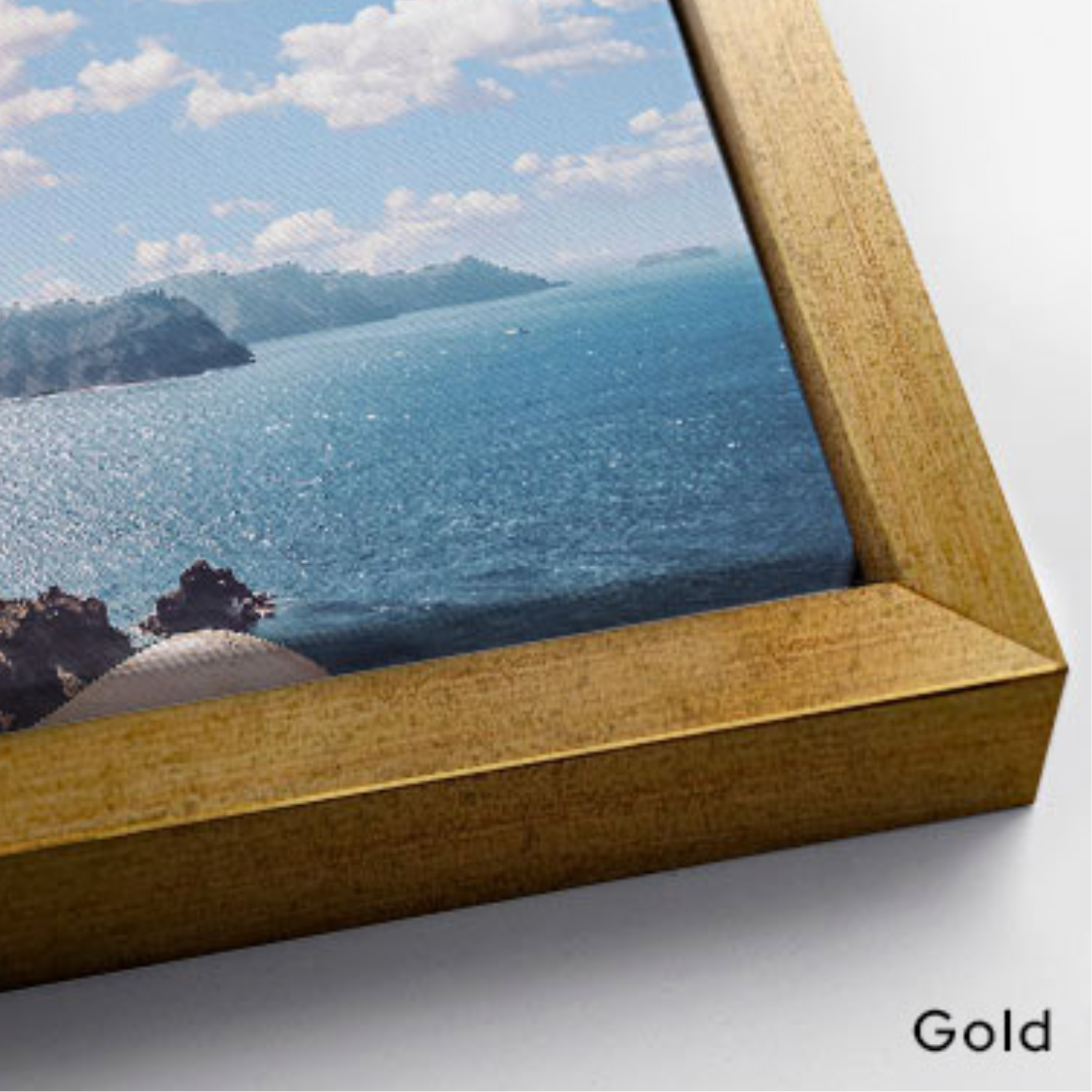 Gold Canvas Frame.png