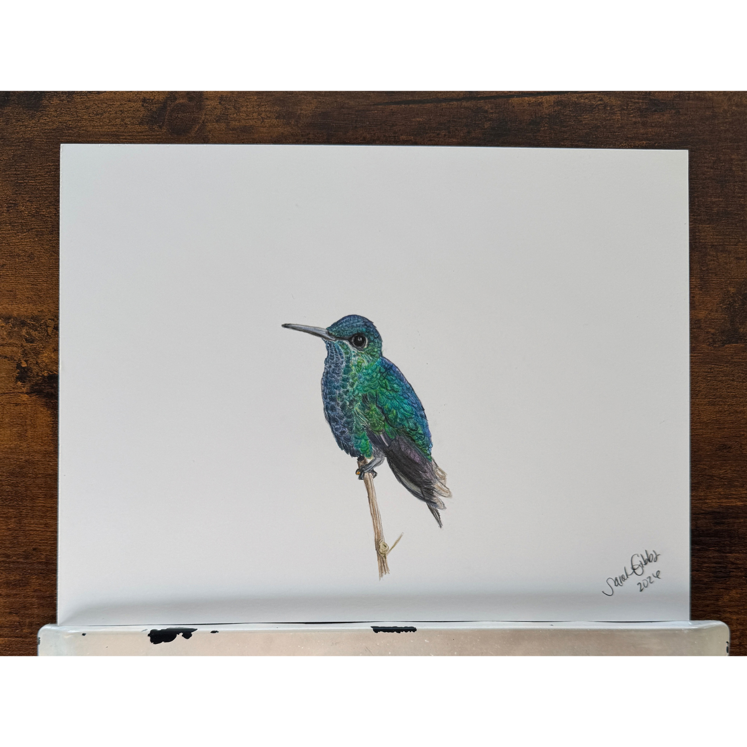 blue green perched hummingbird.png