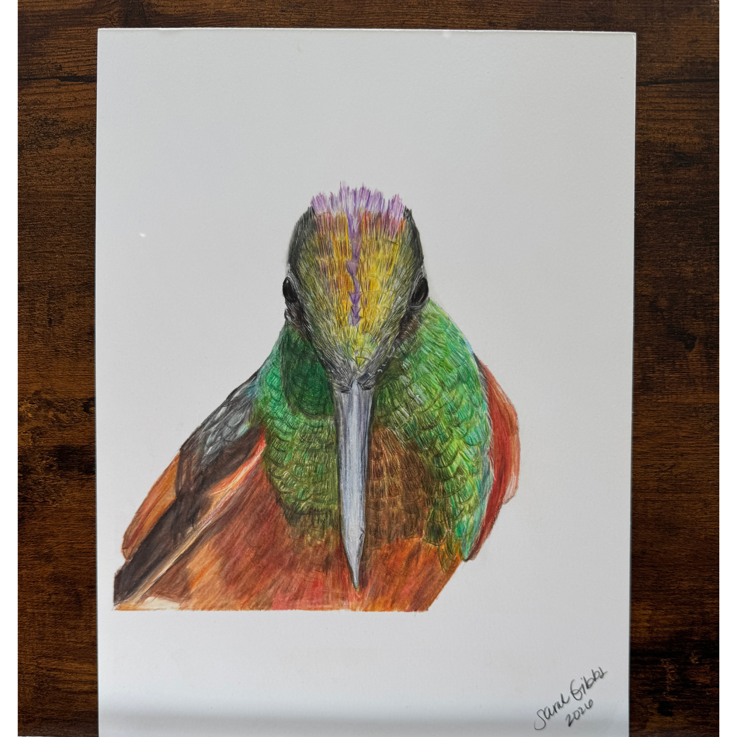 colorful hummingbird art.png