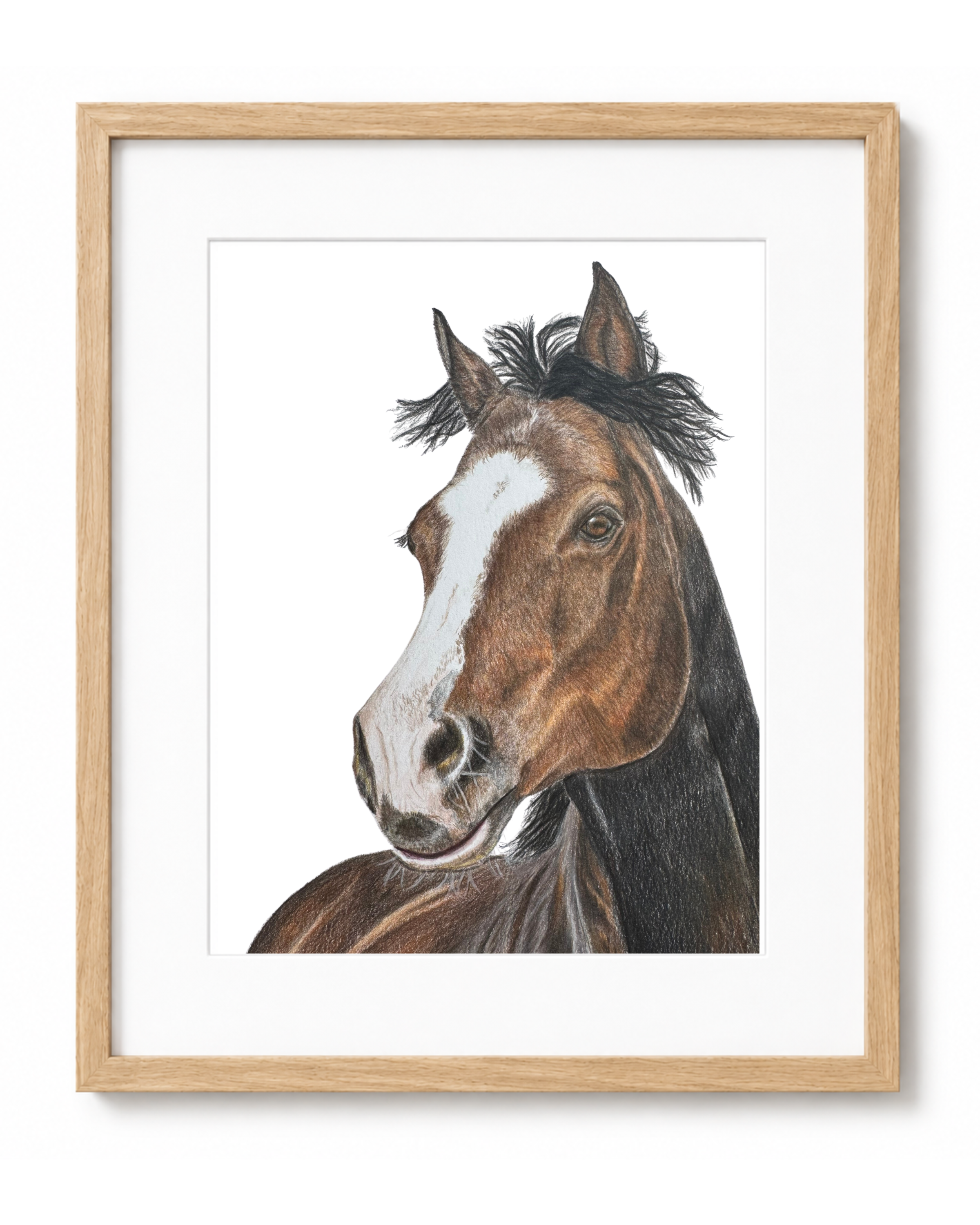 Horse Framed Art