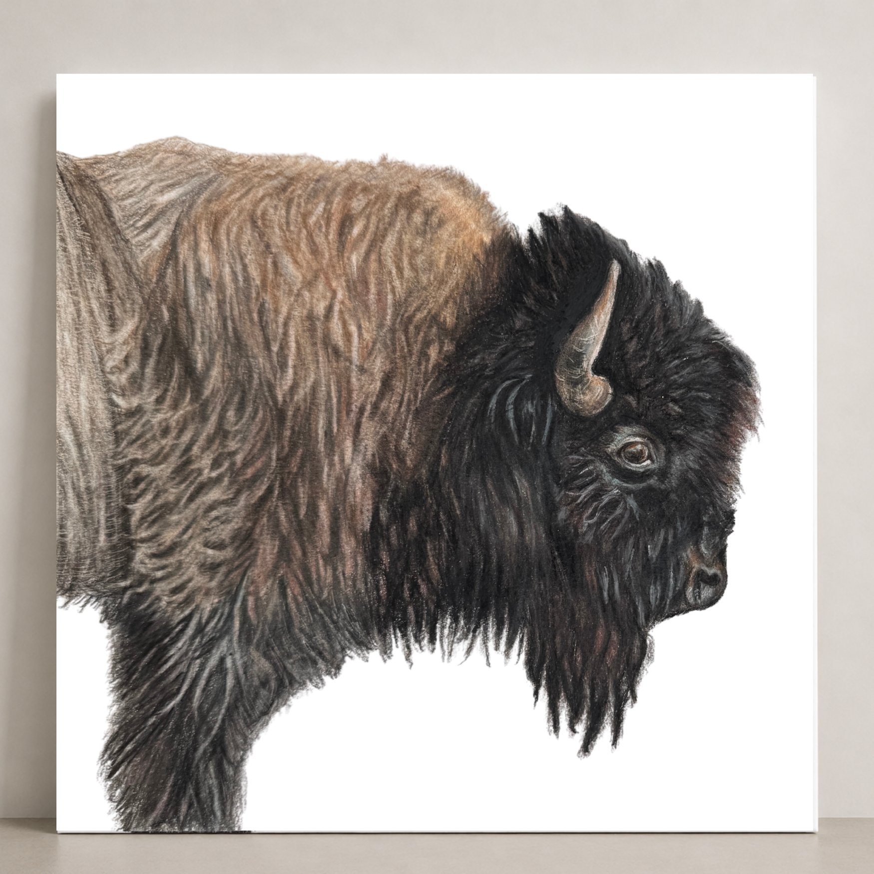 Bison 30x30 Canvas Thumbnail.png