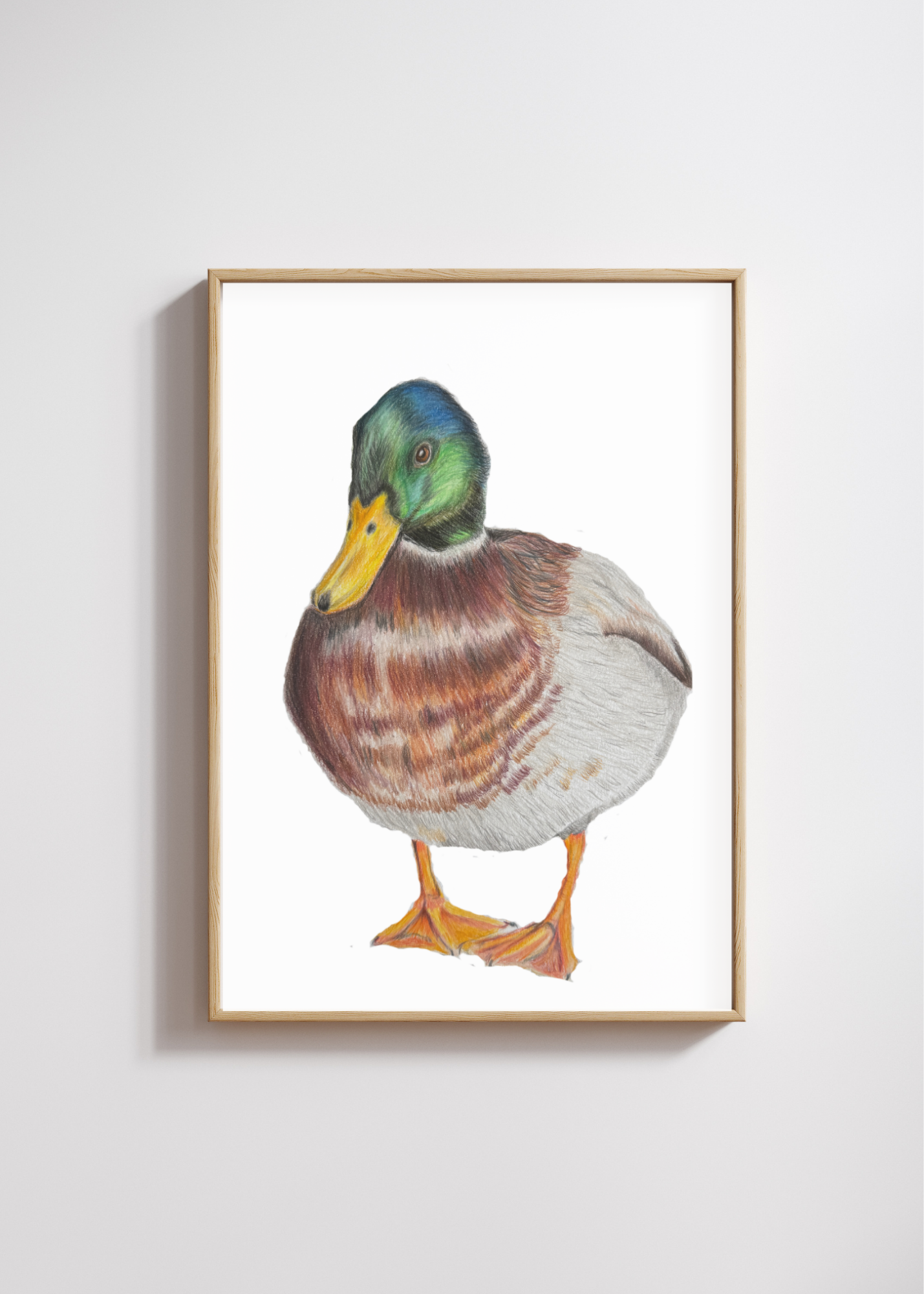 Duck Frame 1.png