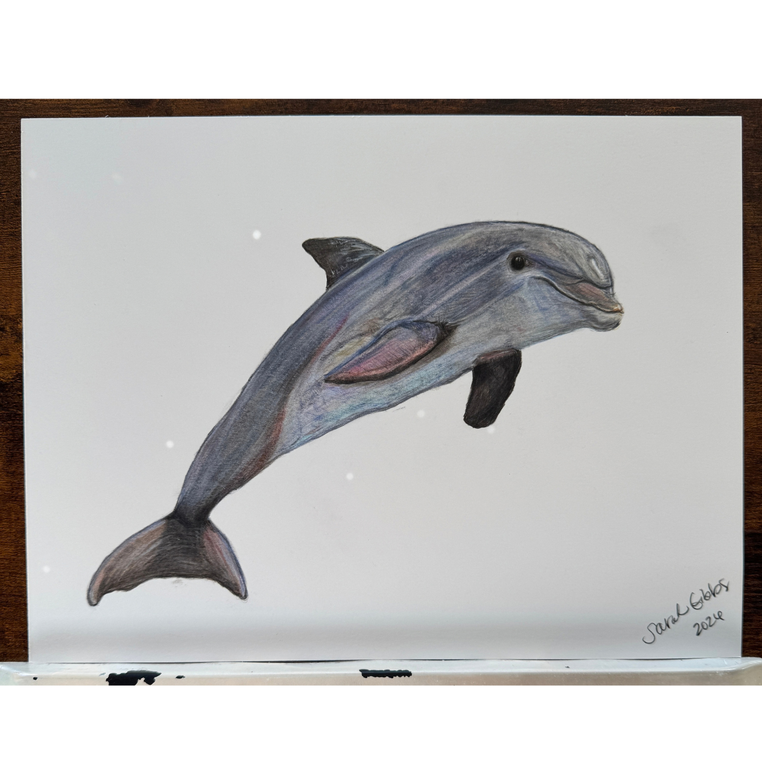 Dolphin - Original Art